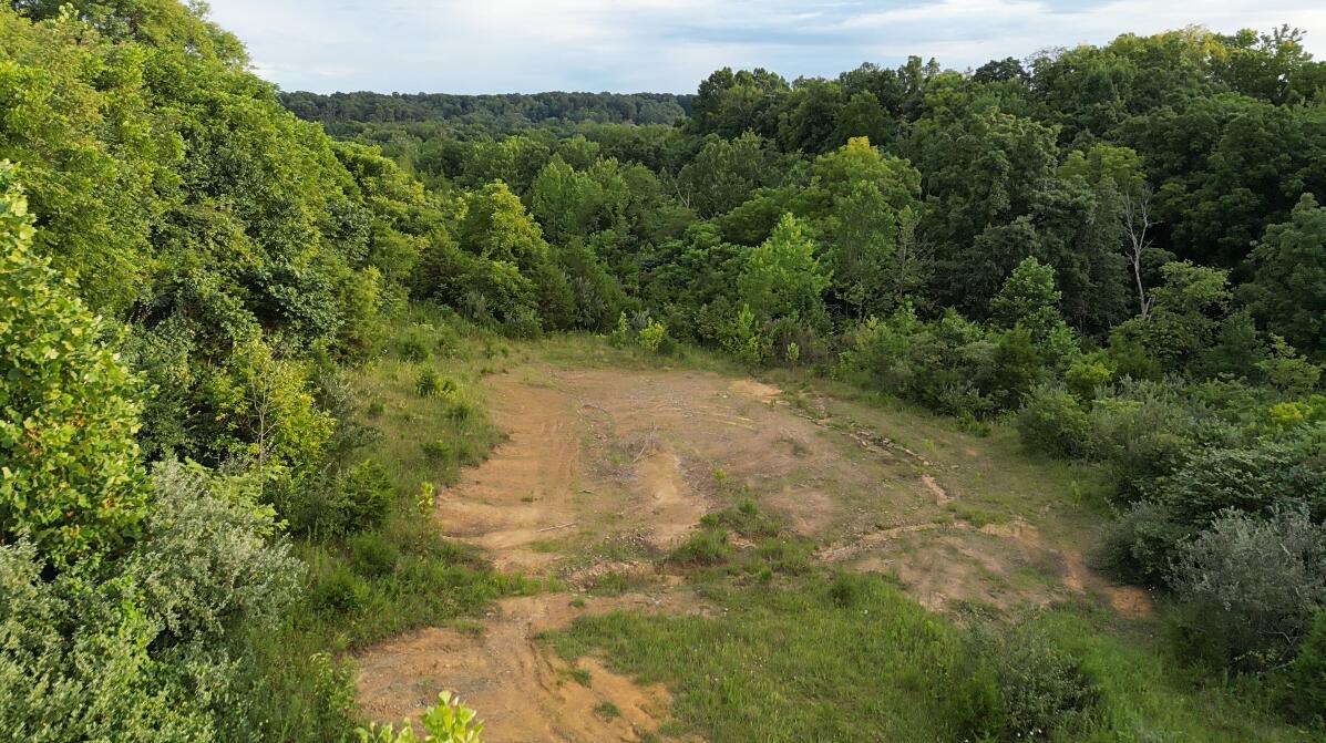 240 Countryside Drive Property Photo 9