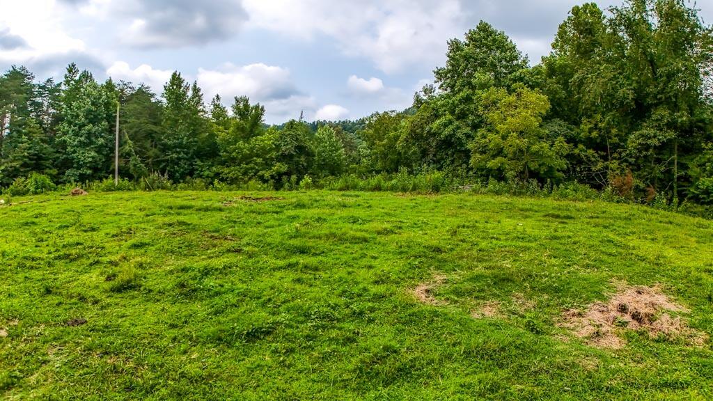 380 Swan Pond Road Property Photo 22