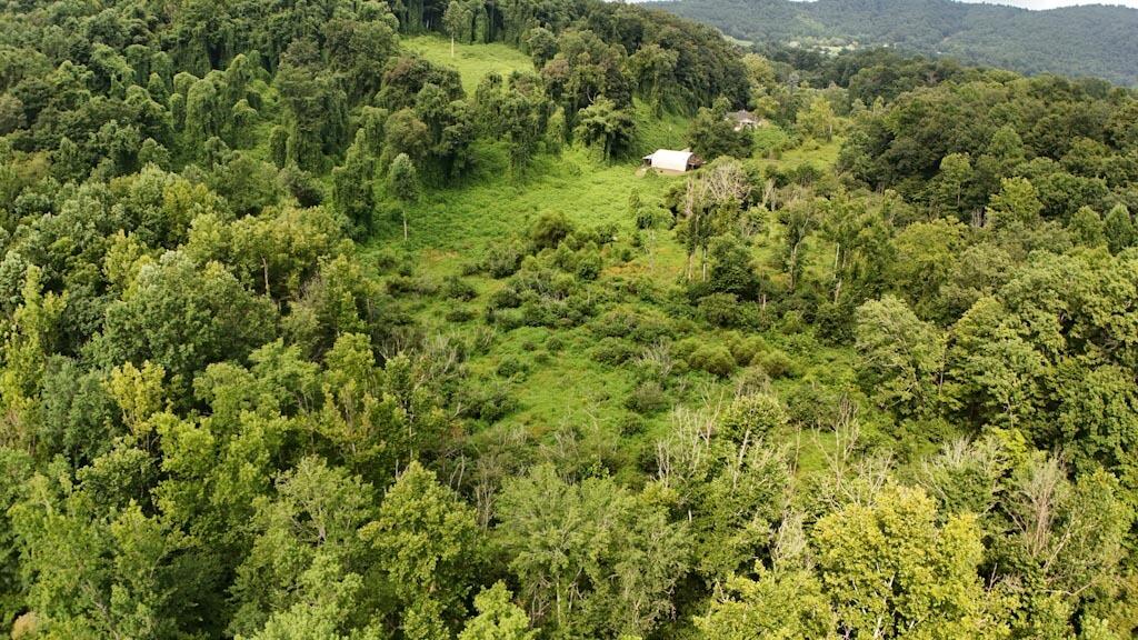 380 Swan Pond Road Property Photo 25