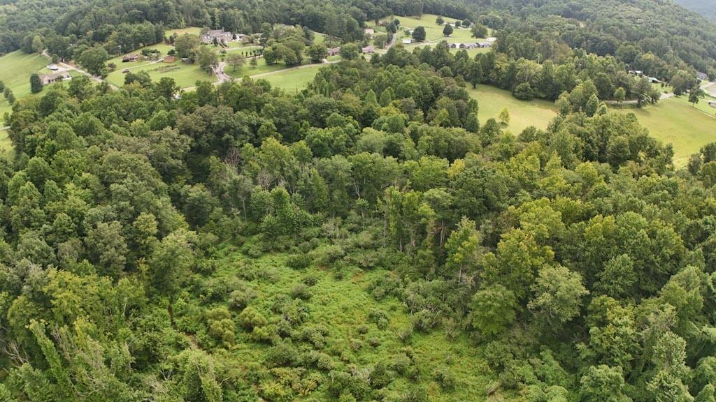 380 Swan Pond Road Property Photo 26