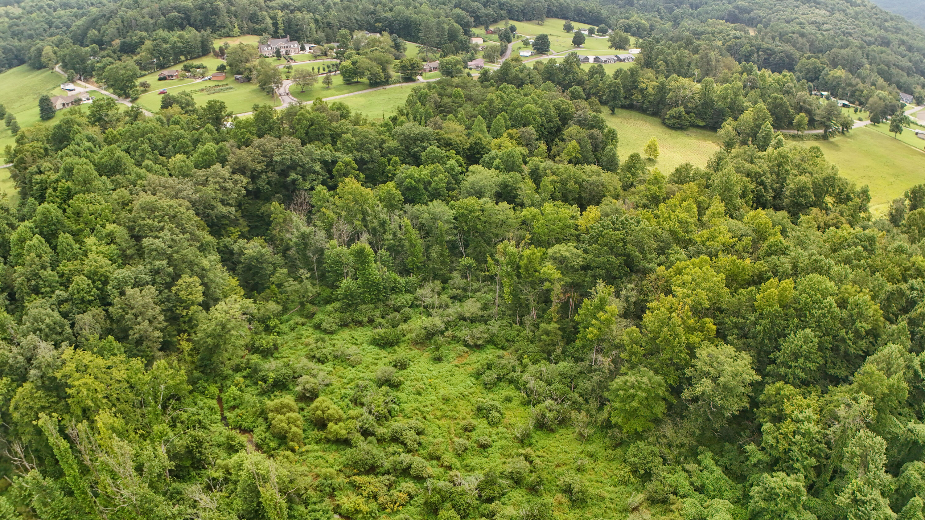 380 Swan Pond Road Property Photo 31