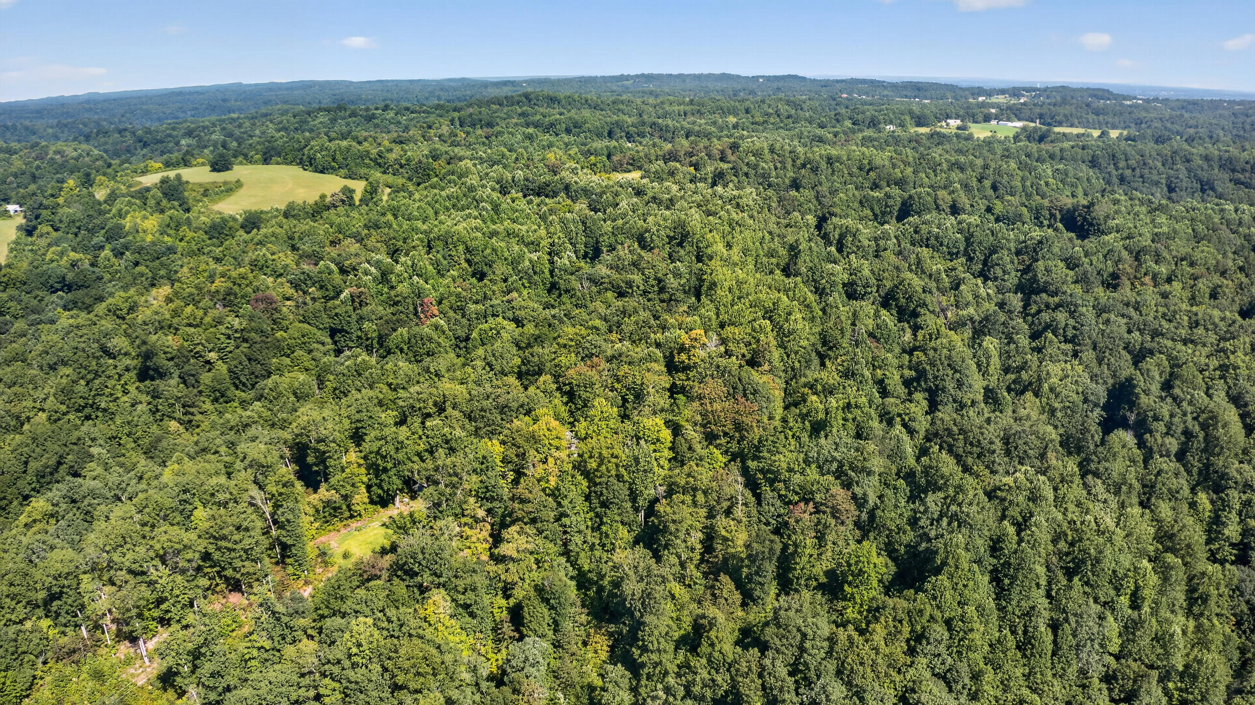 7045 White Oak Road Property Photo 38