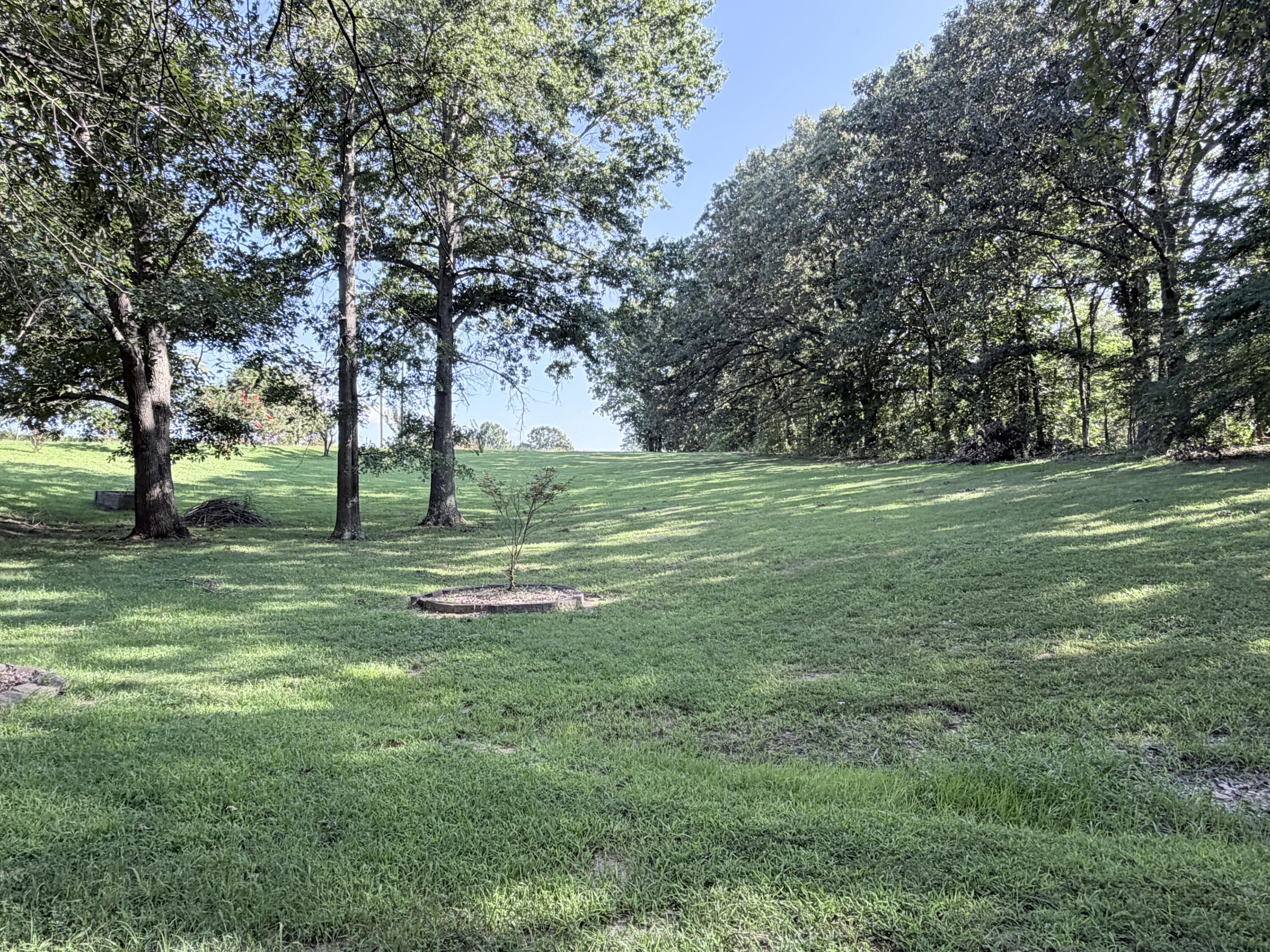 1549 Capp Springs Road Property Photo 19