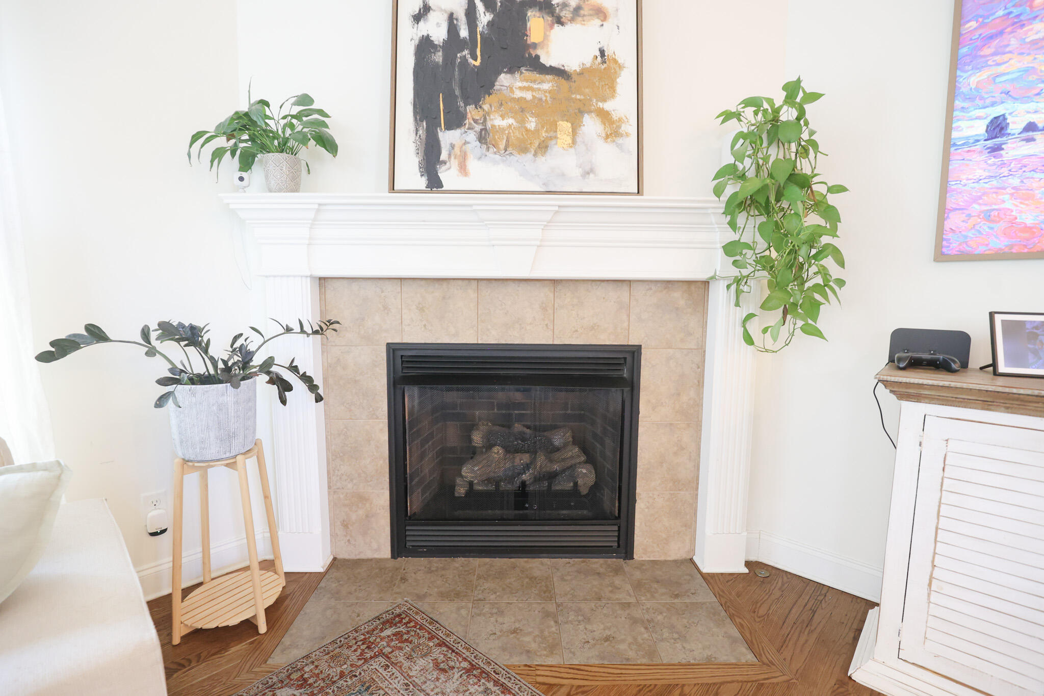 185 Spring Valley Cove Property Photo 10