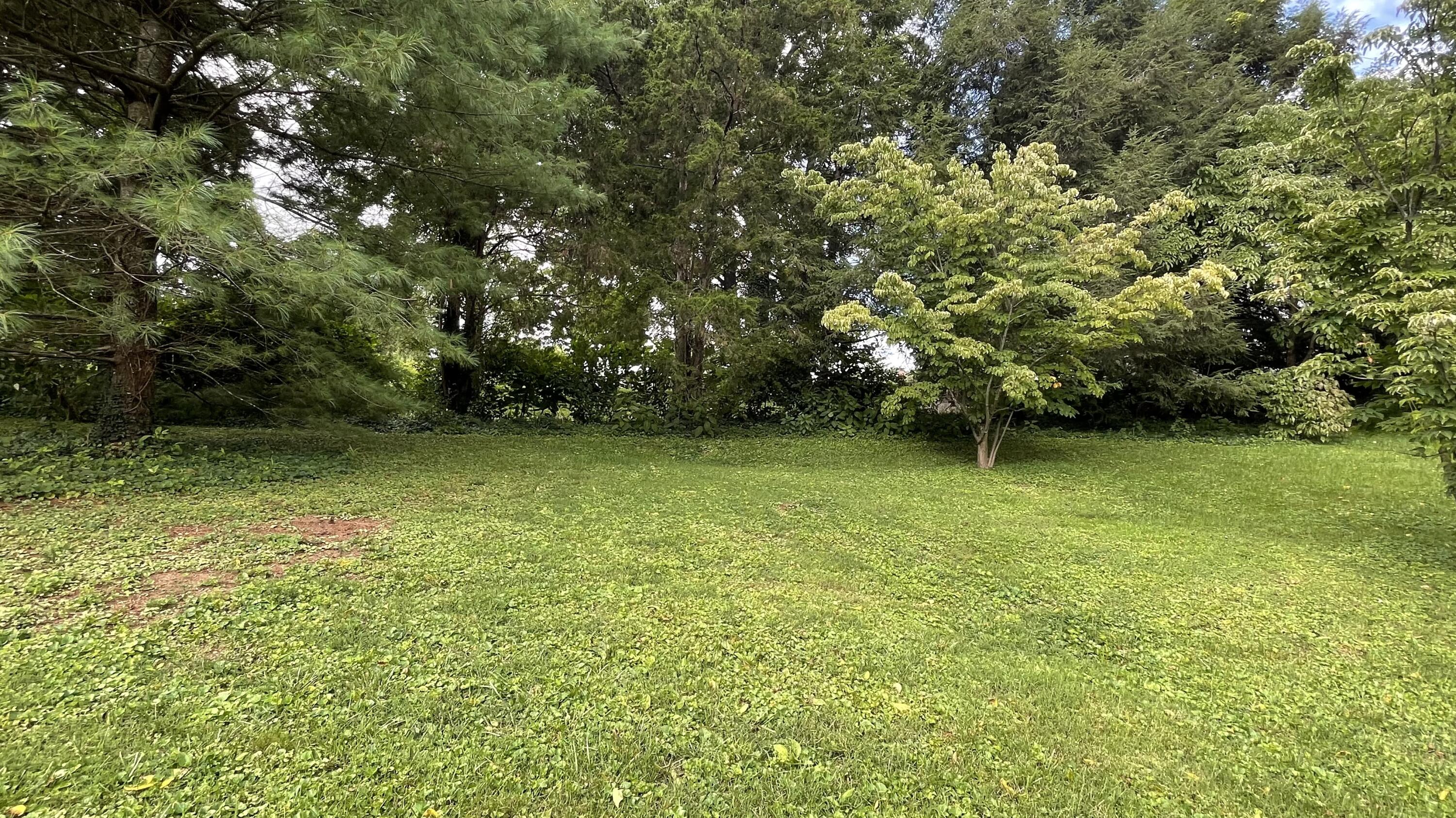 208 Eastover Drive Property Photo 11