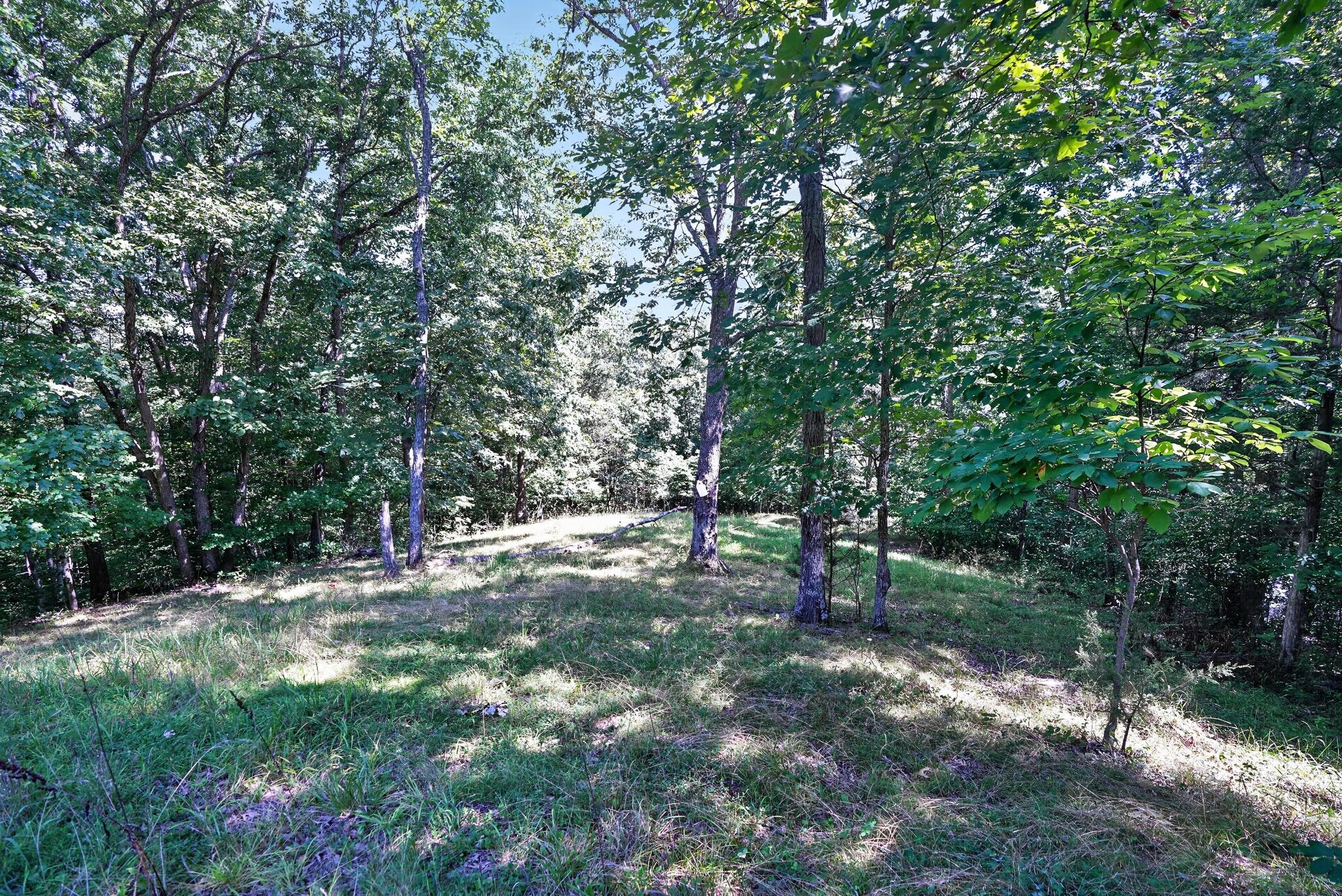2950 Stringtown Road Property Photo 41