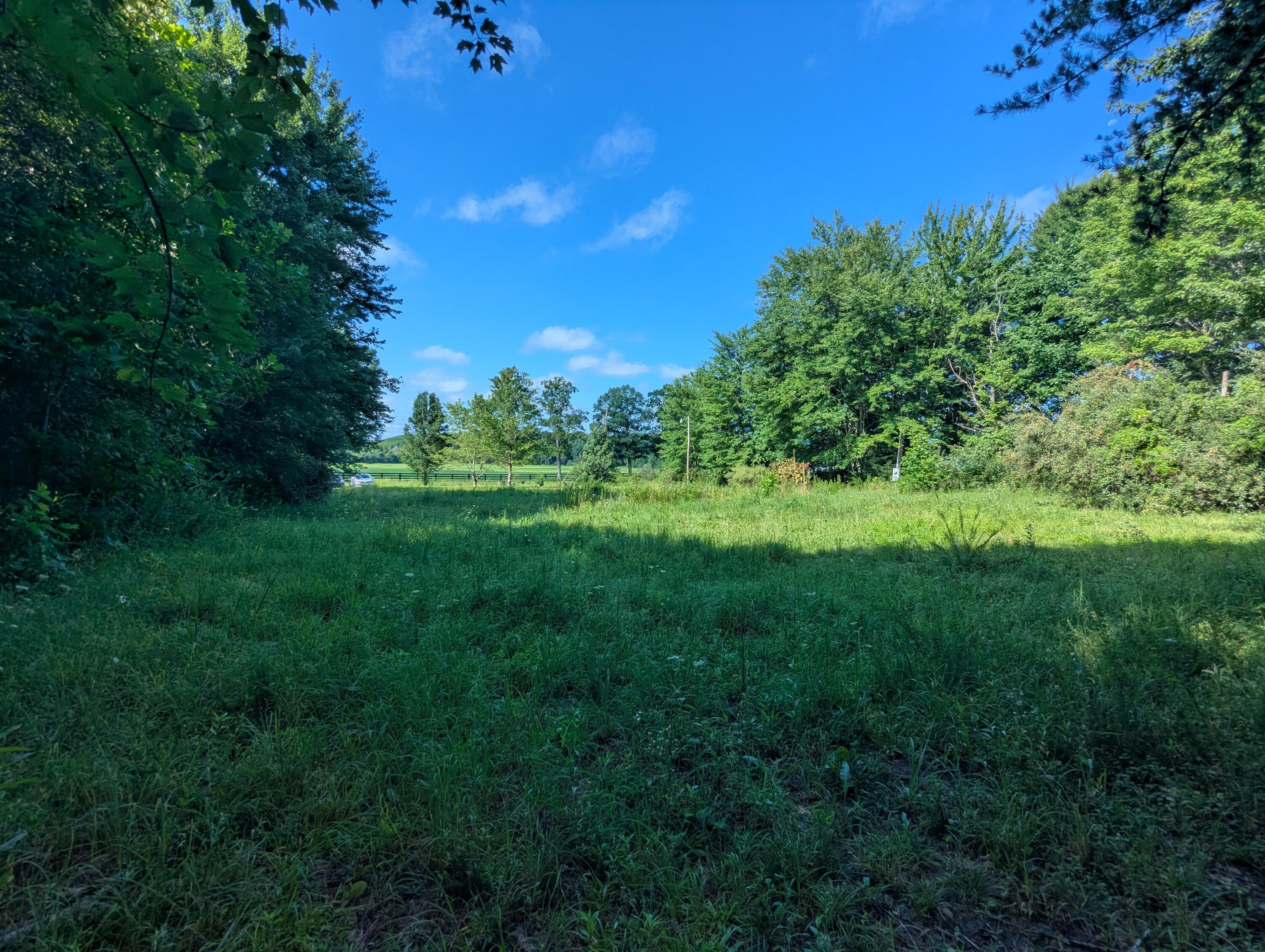 1690 Echo Valley Road Property Photo 3