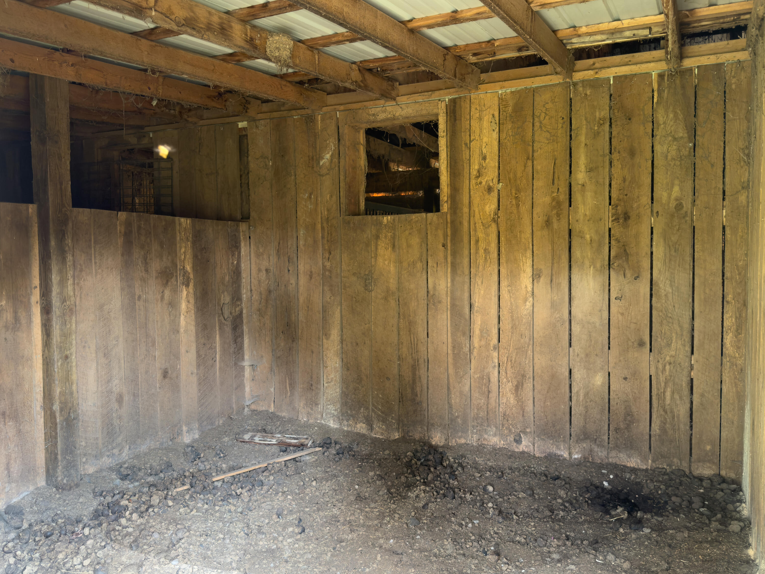 4394 Rush Branch Road Property Photo 151