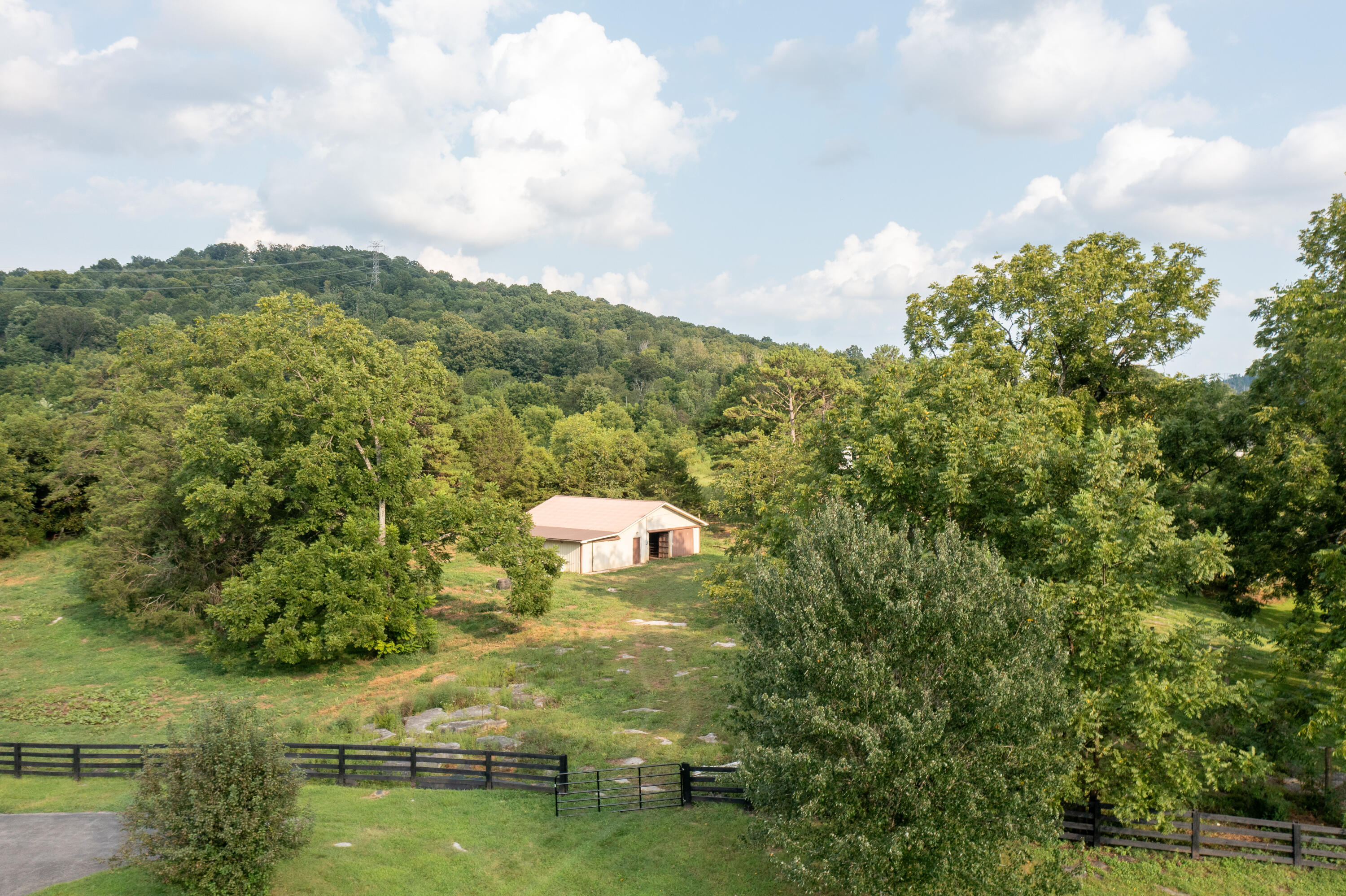 4394 Rush Branch Road Property Photo 178