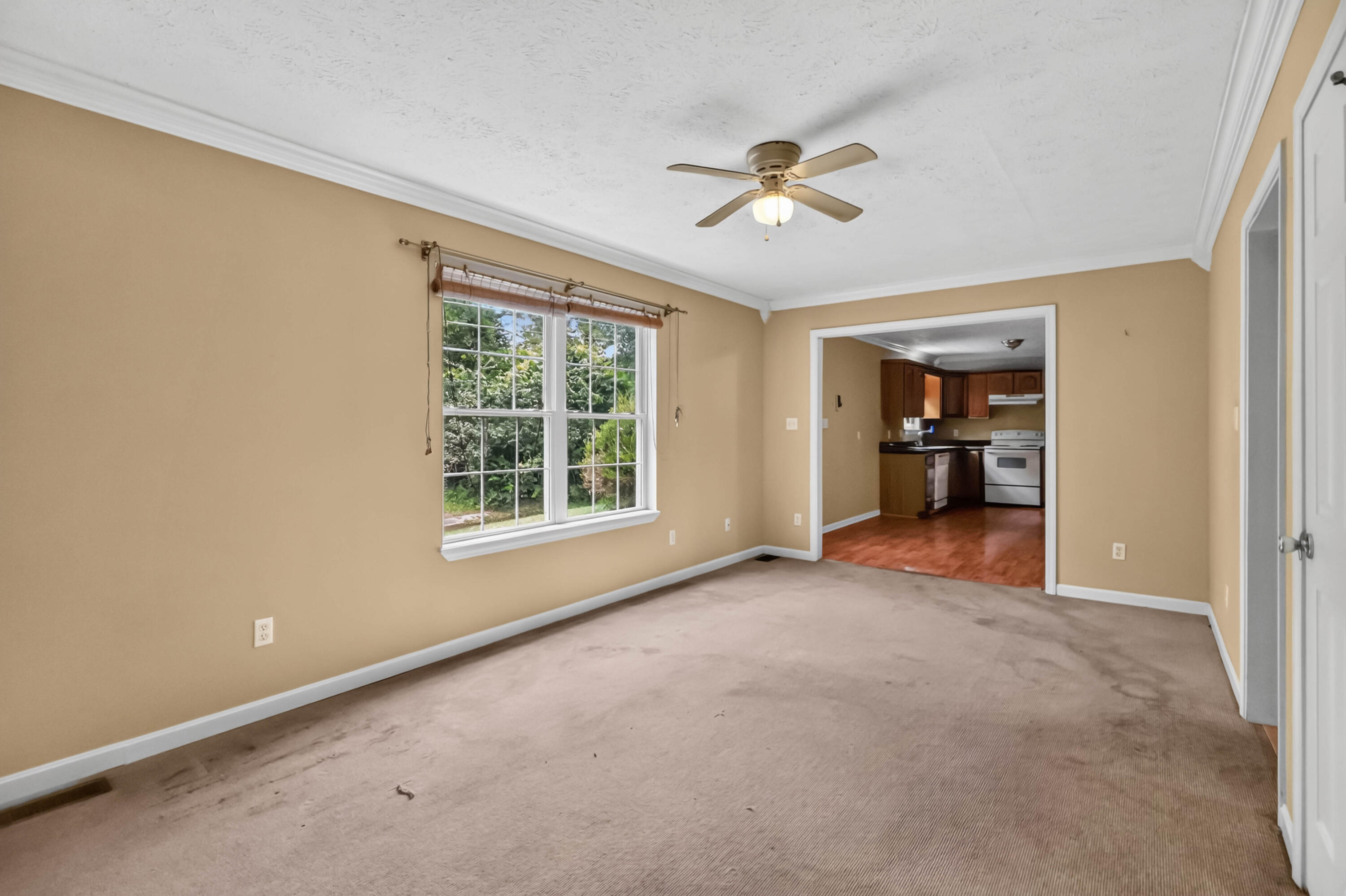 325 Weslyn Way Property Photo 11