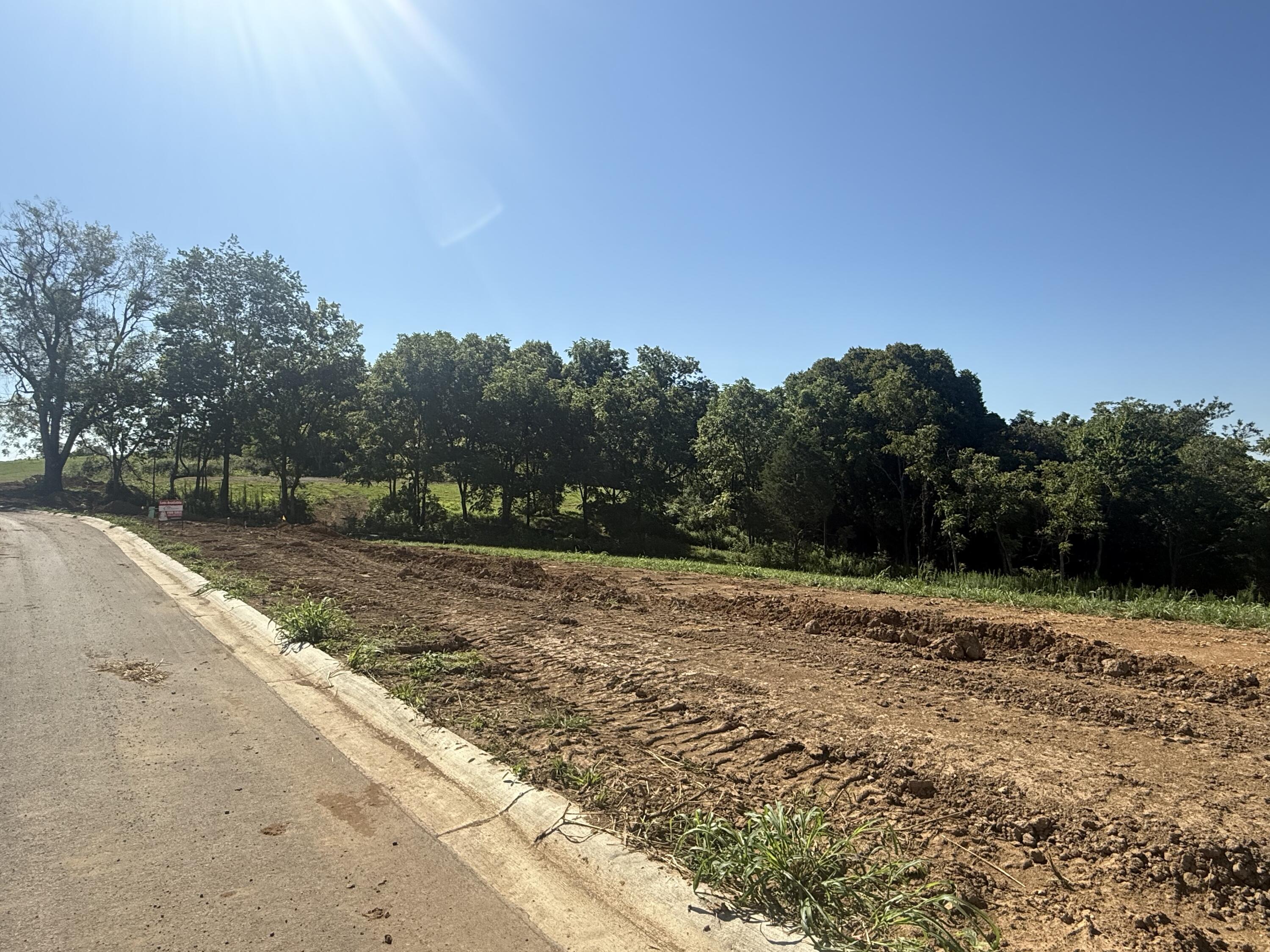 Lot 12 Presidential Boulevard Property Photo 6