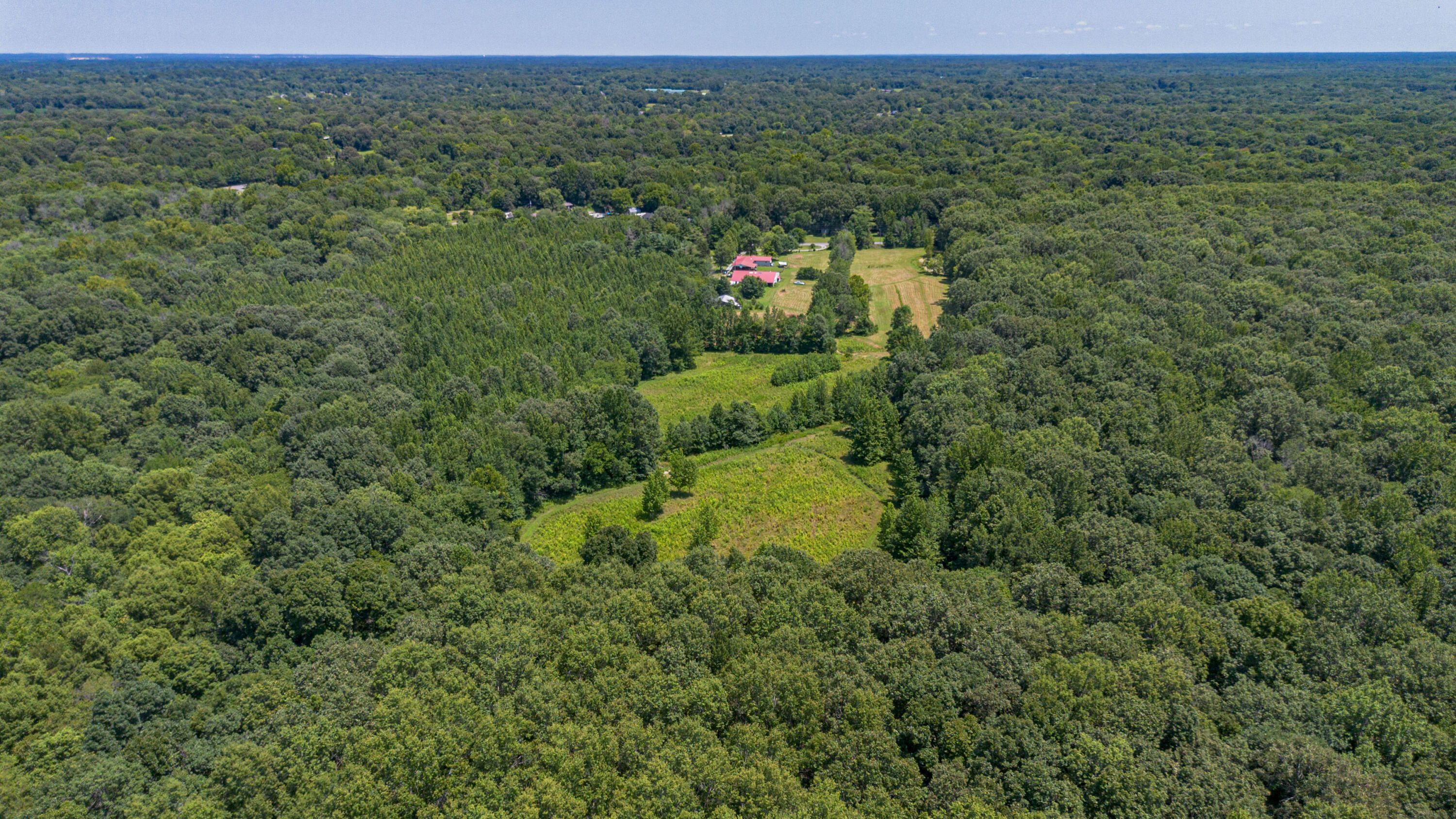 1415 Said Road Property Photo 32