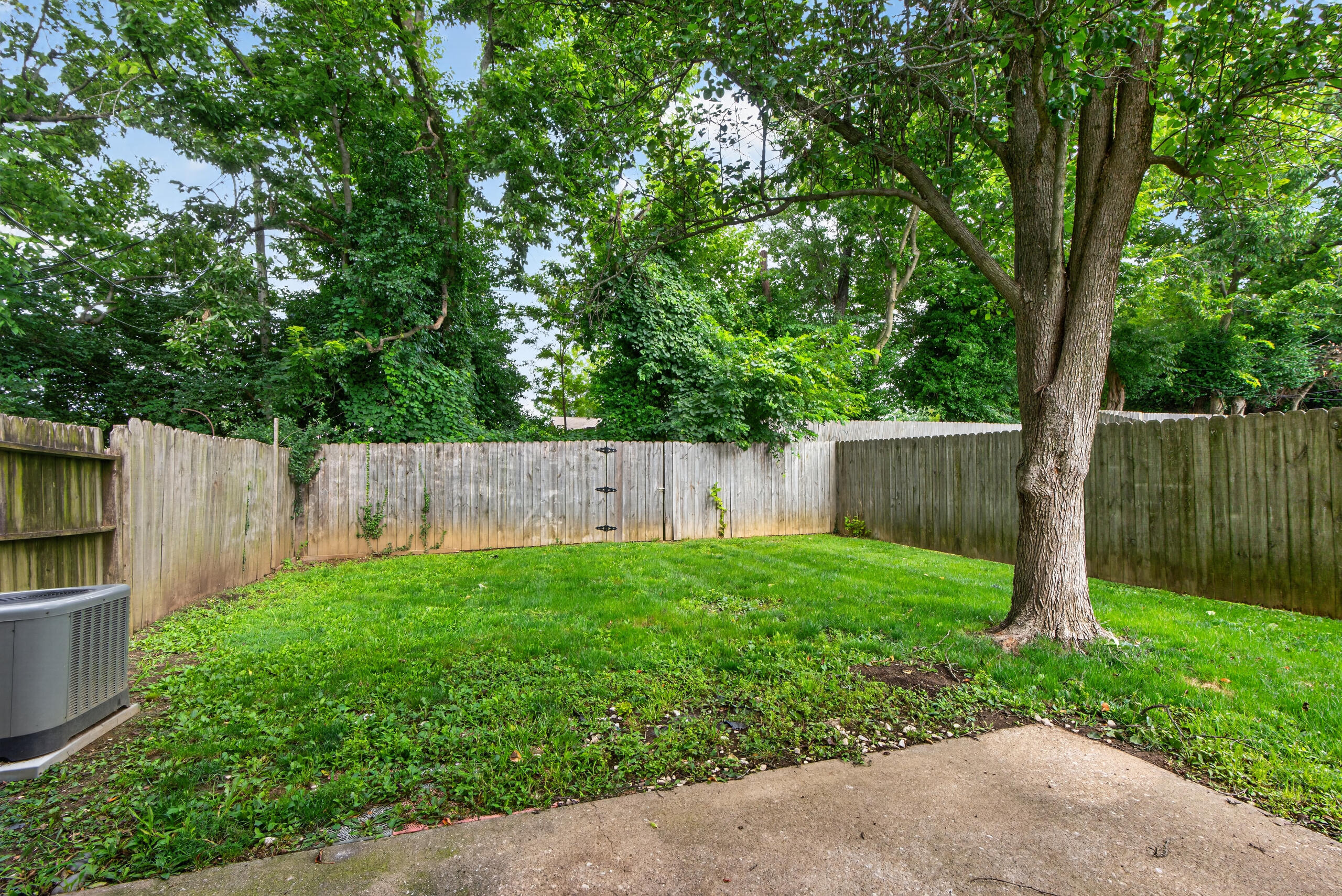3681 Arbor Drive Property Photo 4