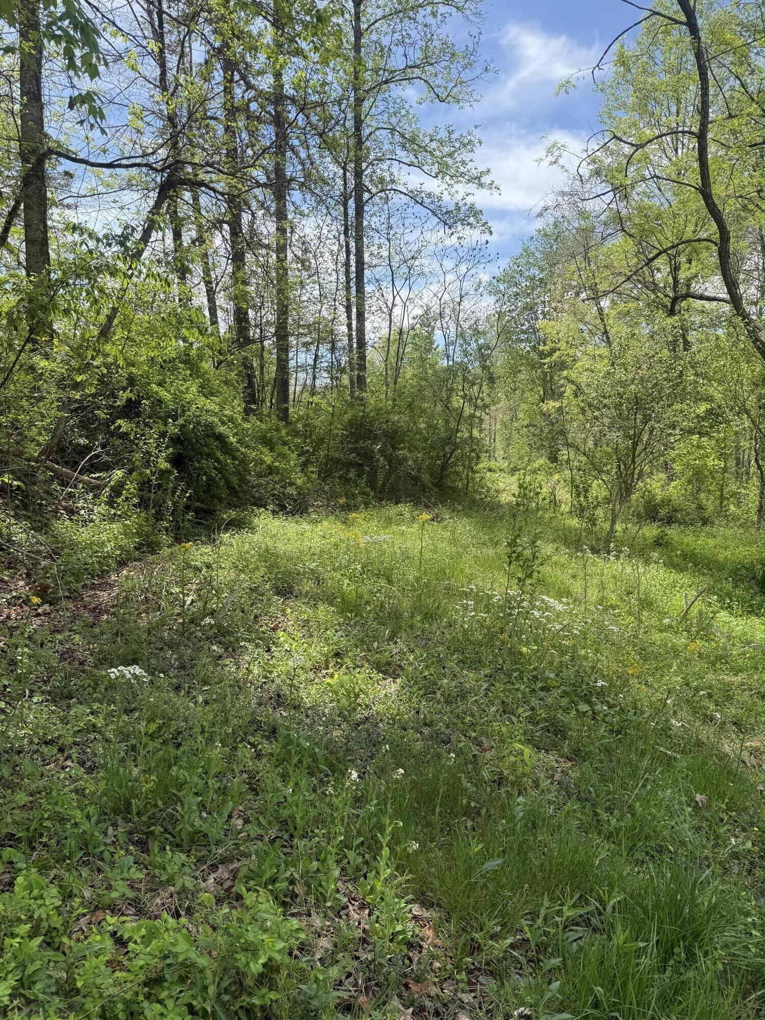 1325 State Highway 1036 Property Photo 1