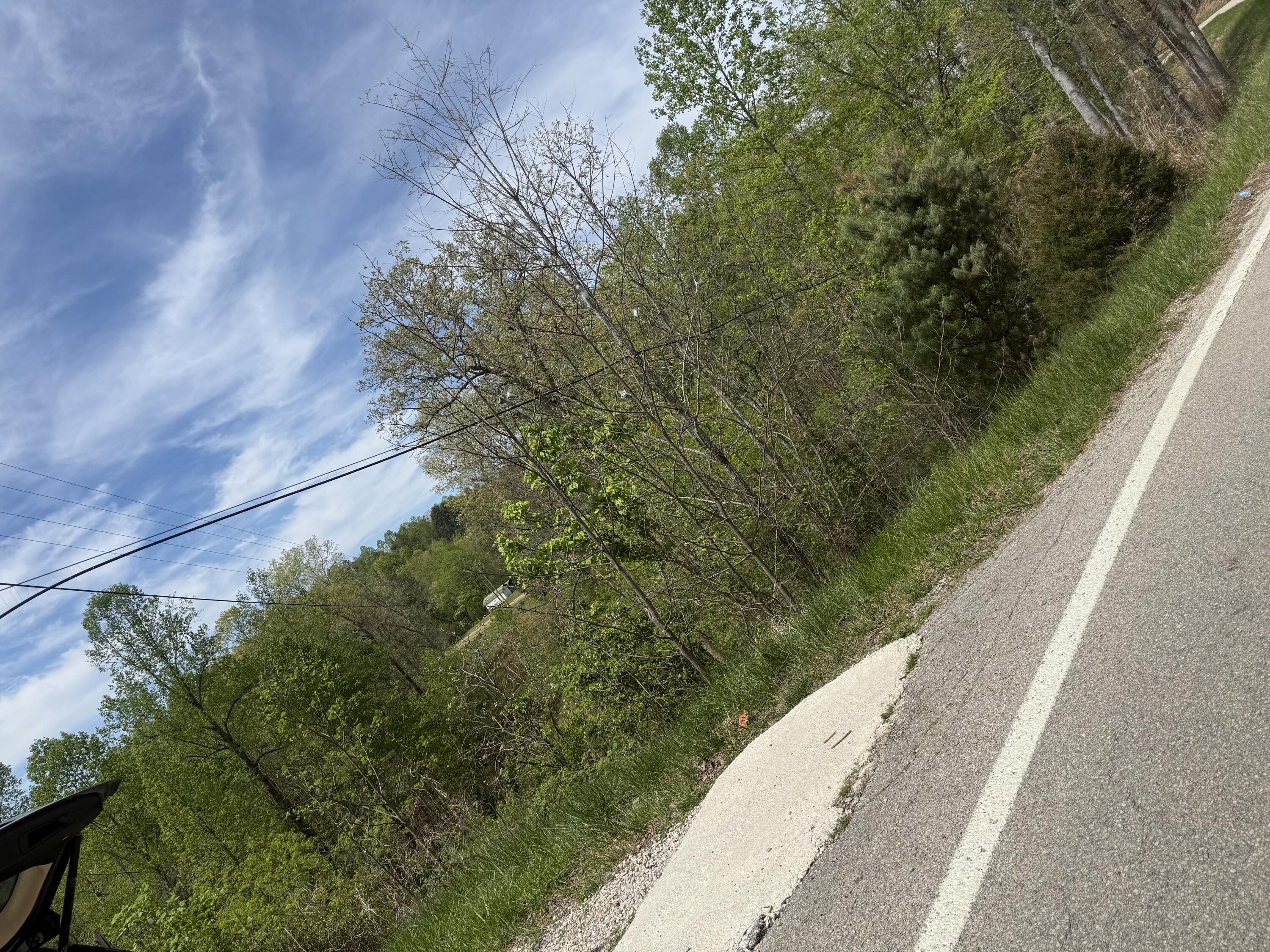 1325 State Highway 1036 Property Photo 3