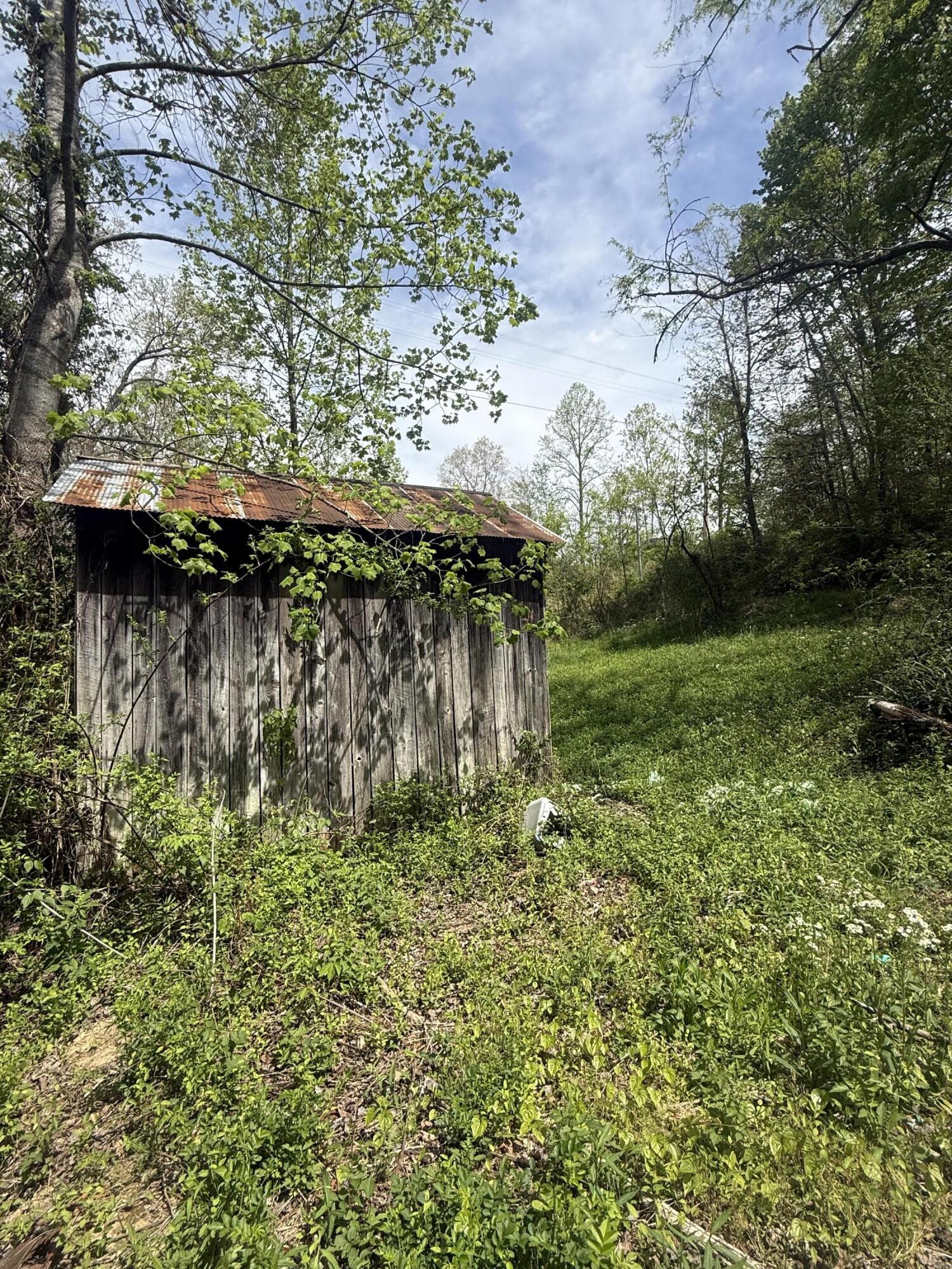 1325 State Highway 1036 Property Photo 5