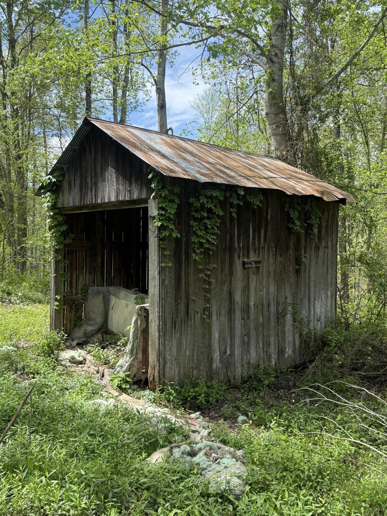 1325 State Highway 1036 Property Photo 6