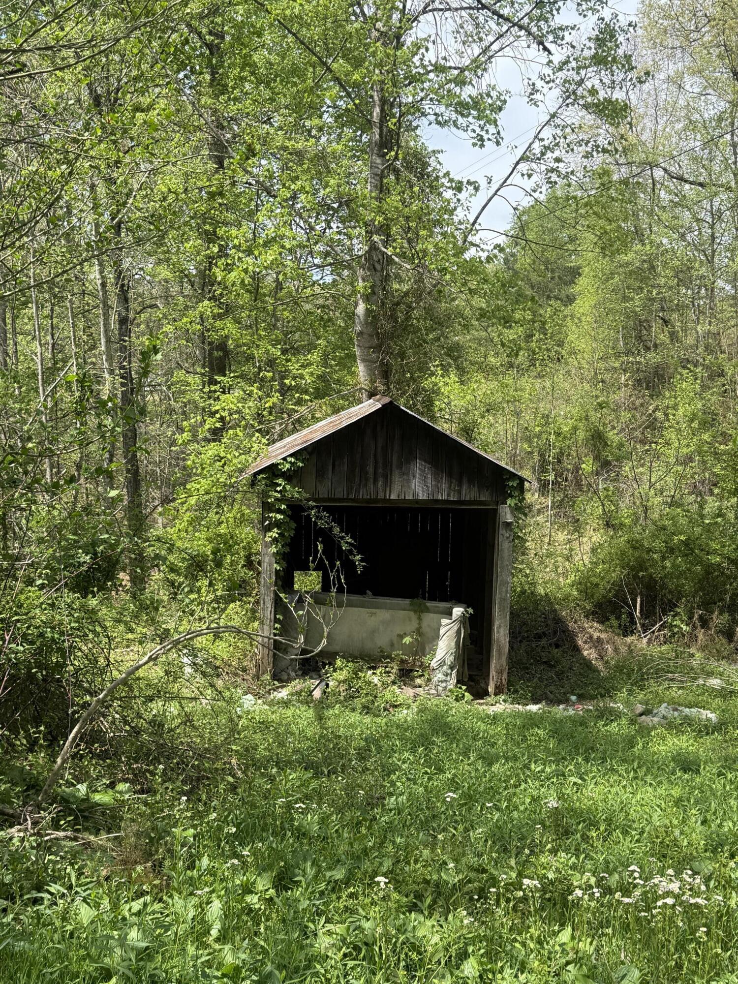 1325 State Highway 1036 Property Photo 7