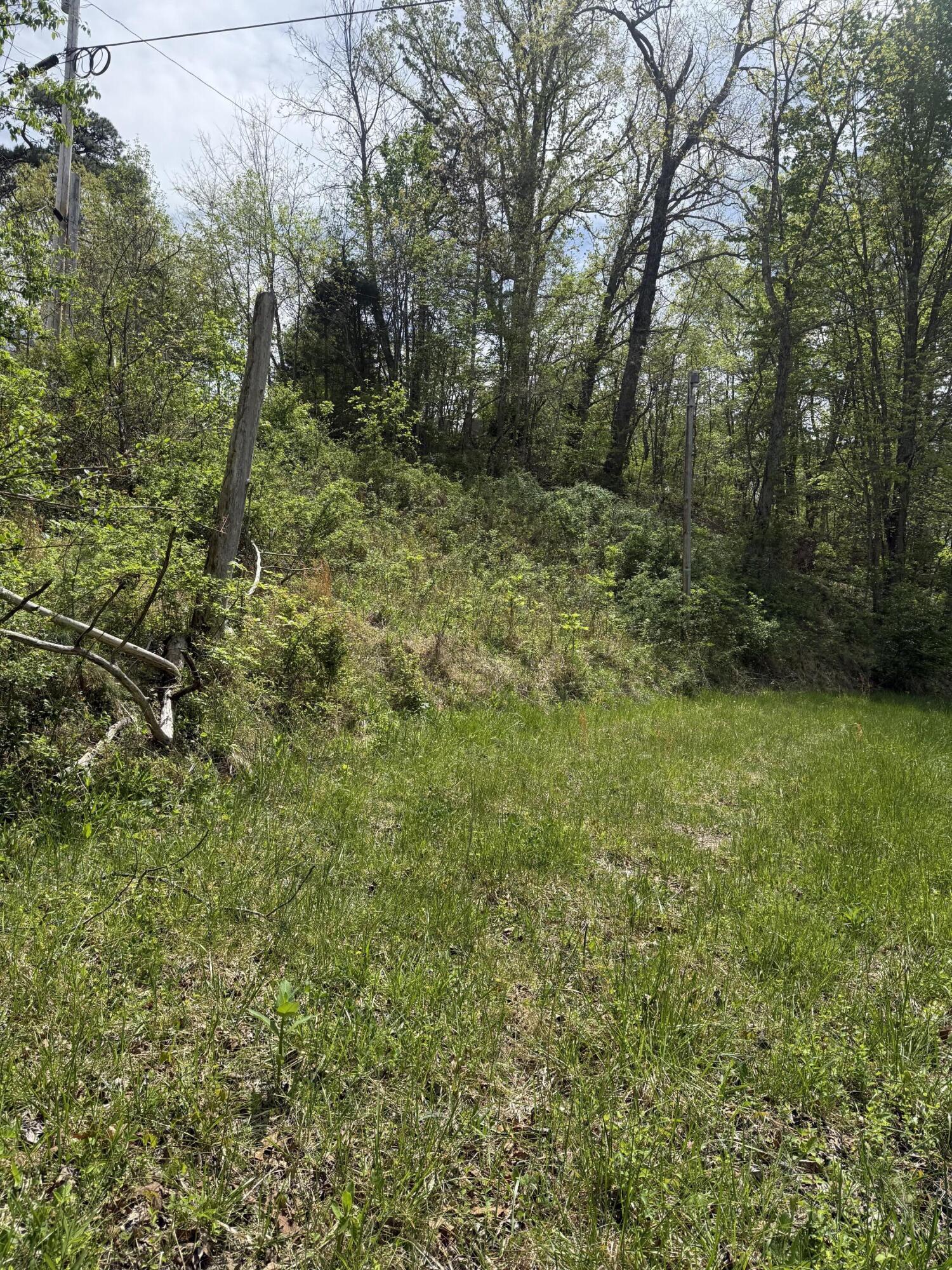 1325 State Highway 1036 Property Photo 8