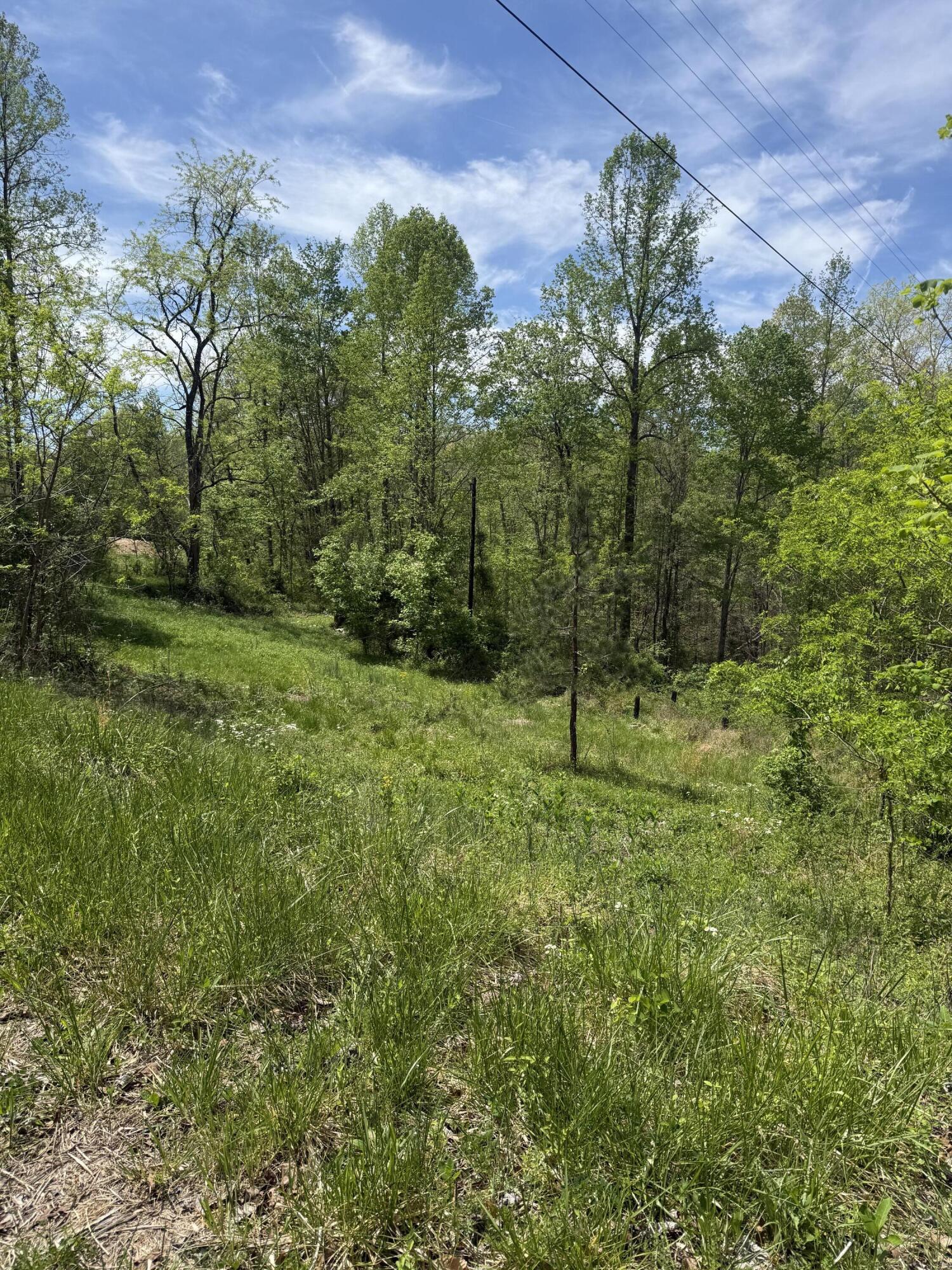 1325 State Highway 1036 Property Photo 9