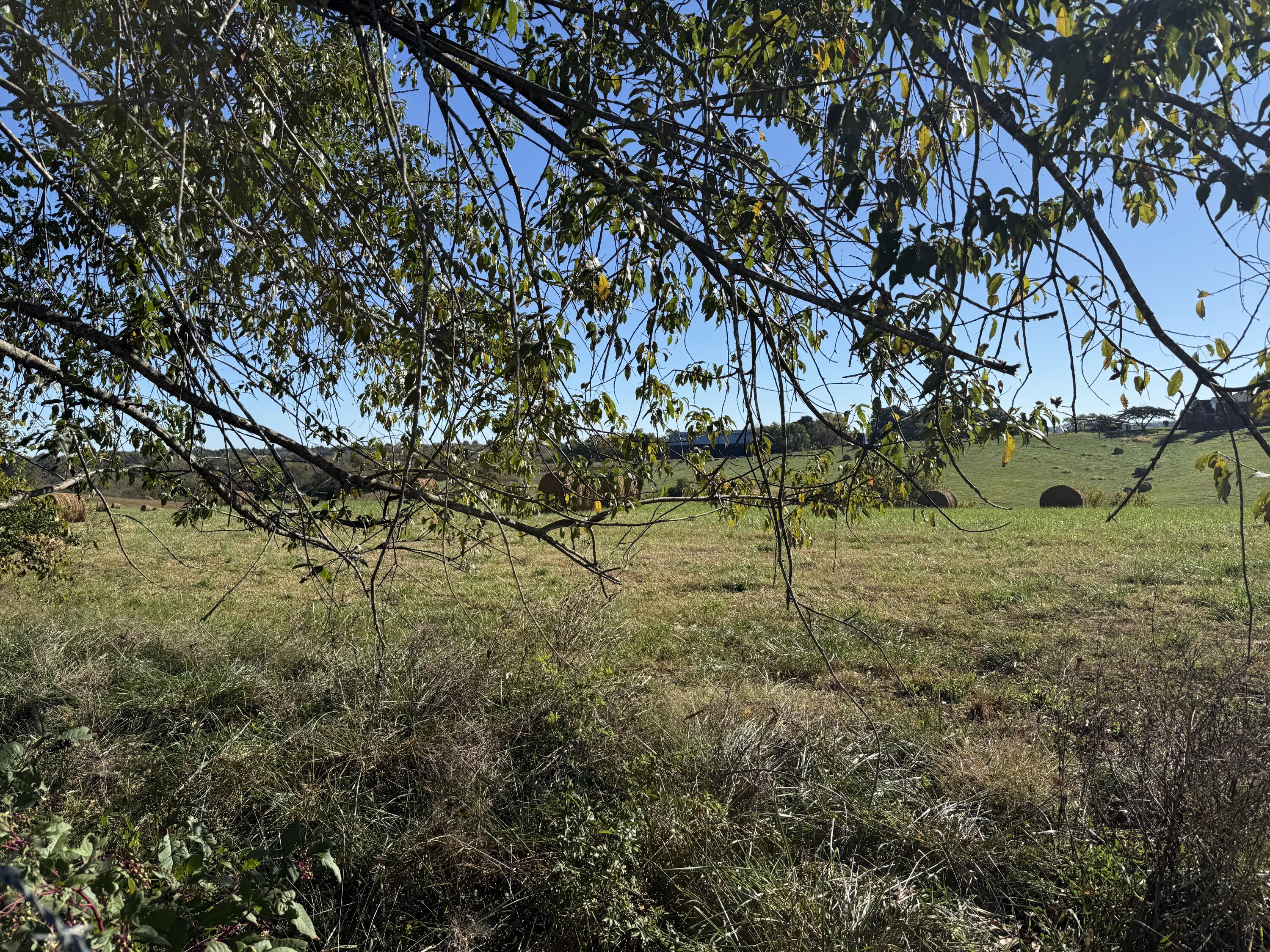 297 White Station Road Property Photo 8