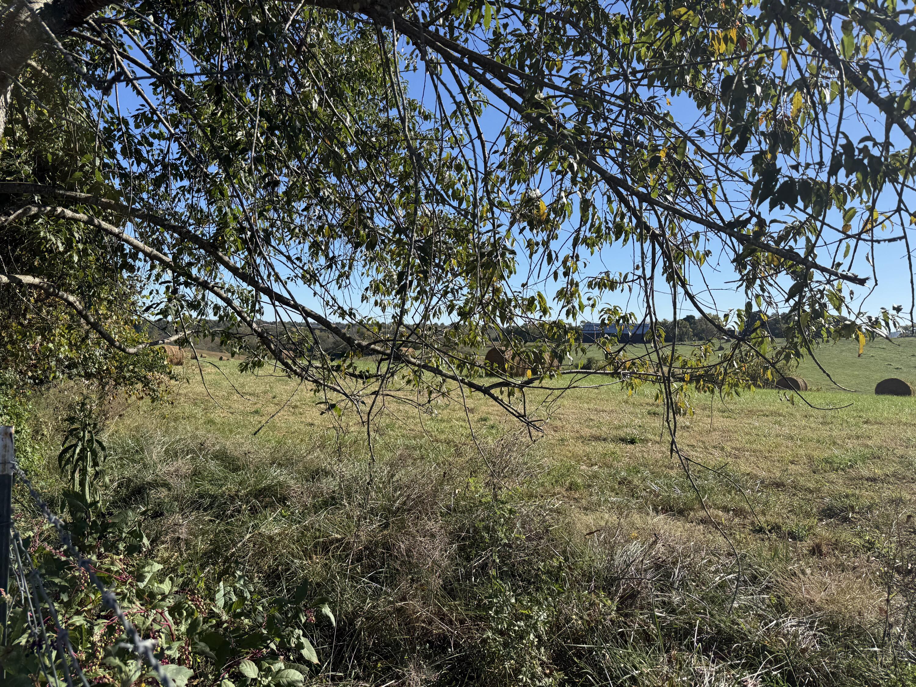 297 White Station Road Property Photo 12