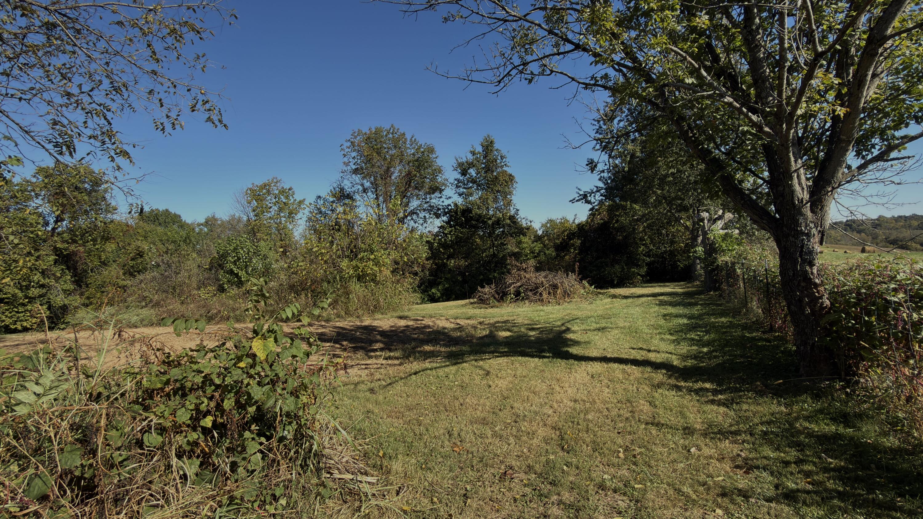 297 White Station Road Property Photo 14