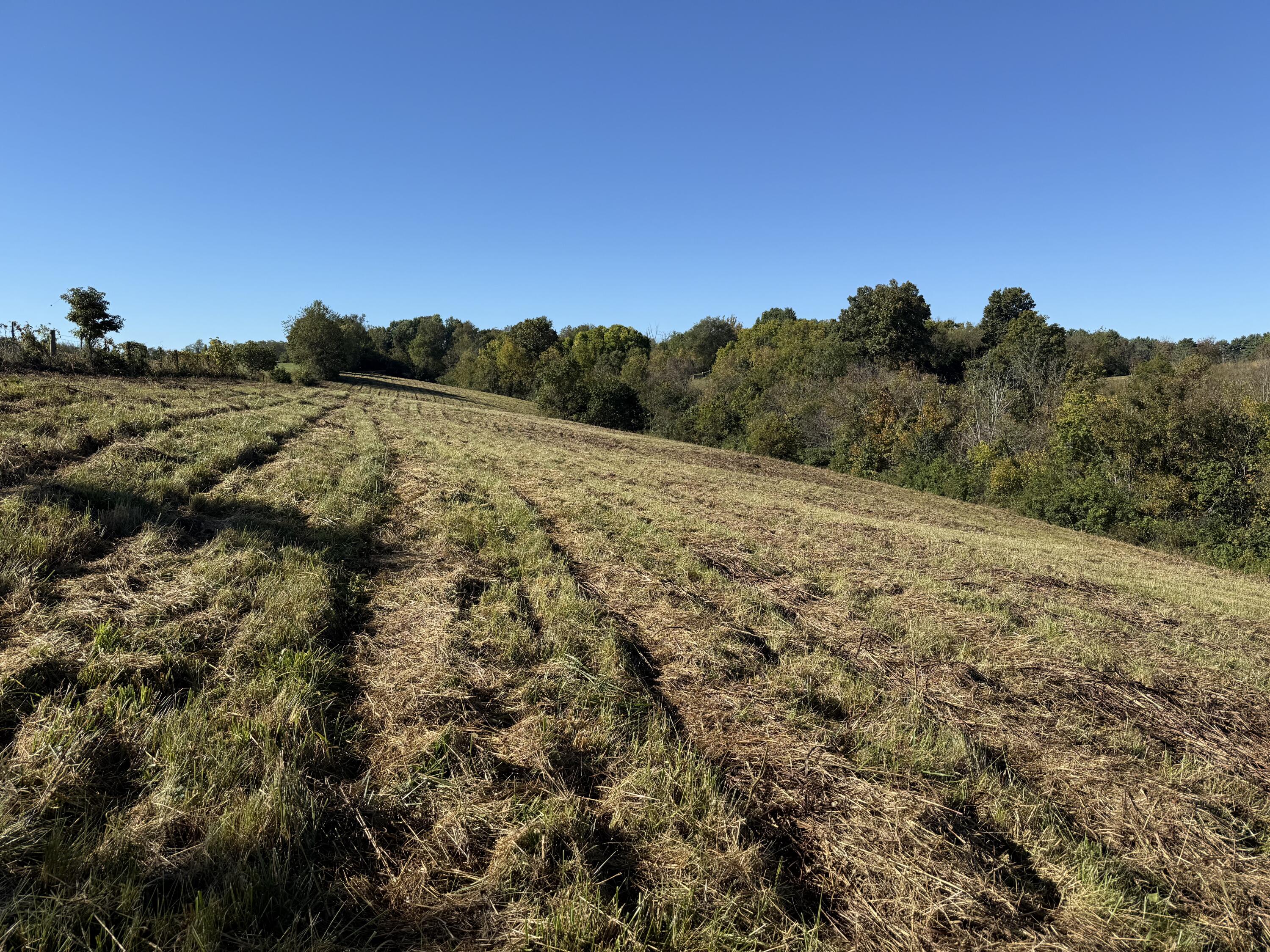 297 White Station Road Property Photo 15
