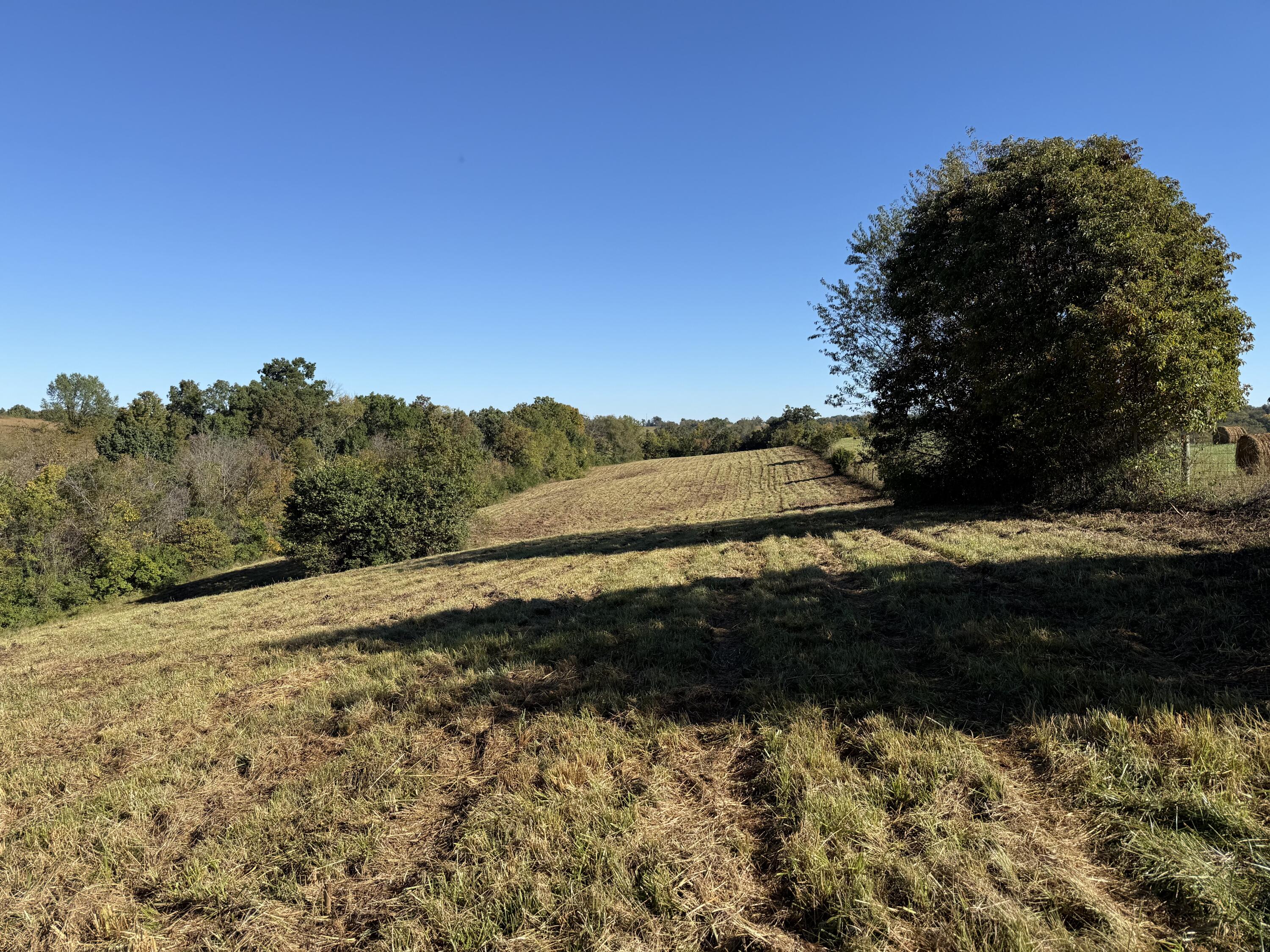 297 White Station Road Property Photo 16