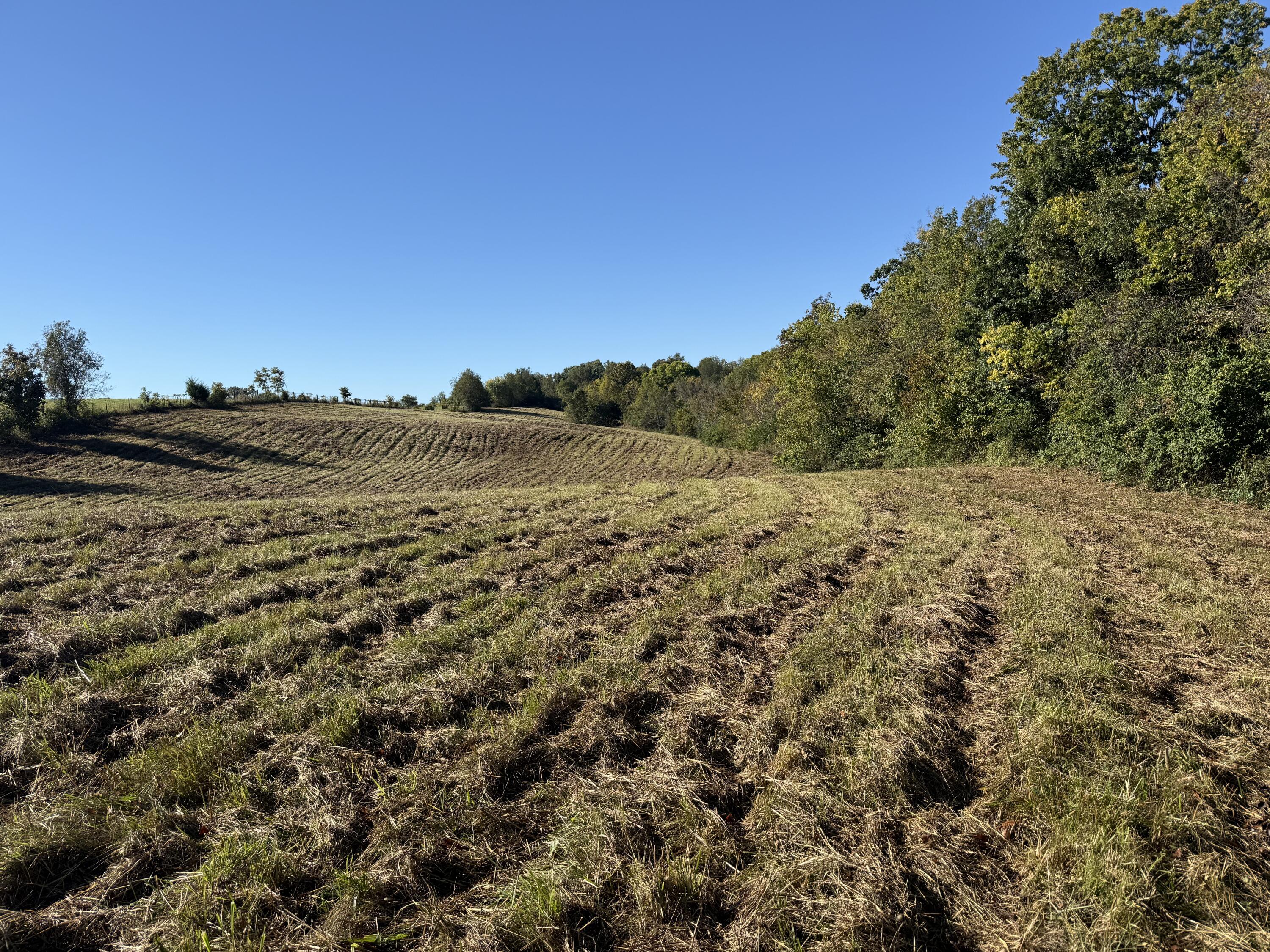 297 White Station Road Property Photo 16