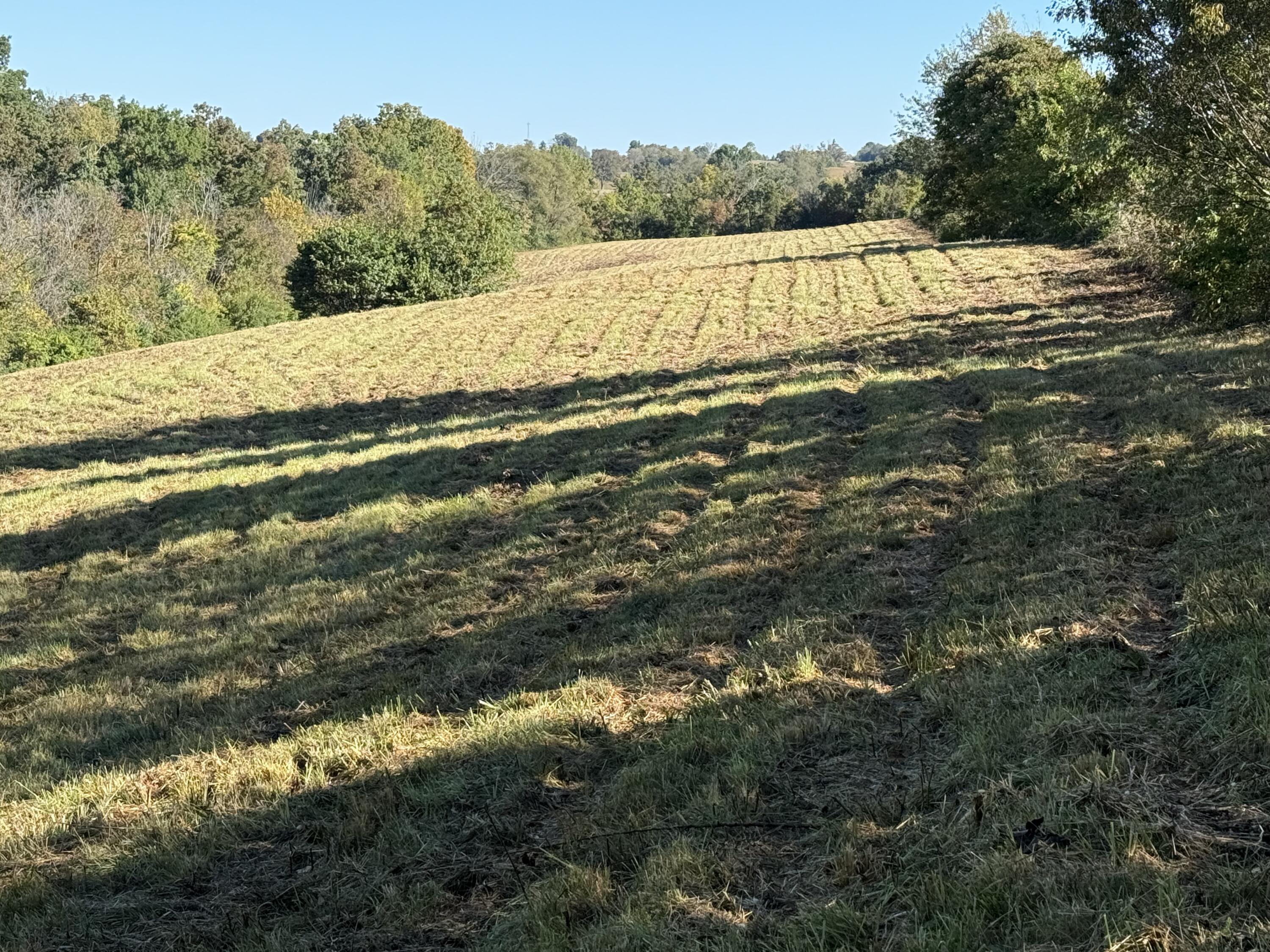 297 White Station Road Property Photo 17