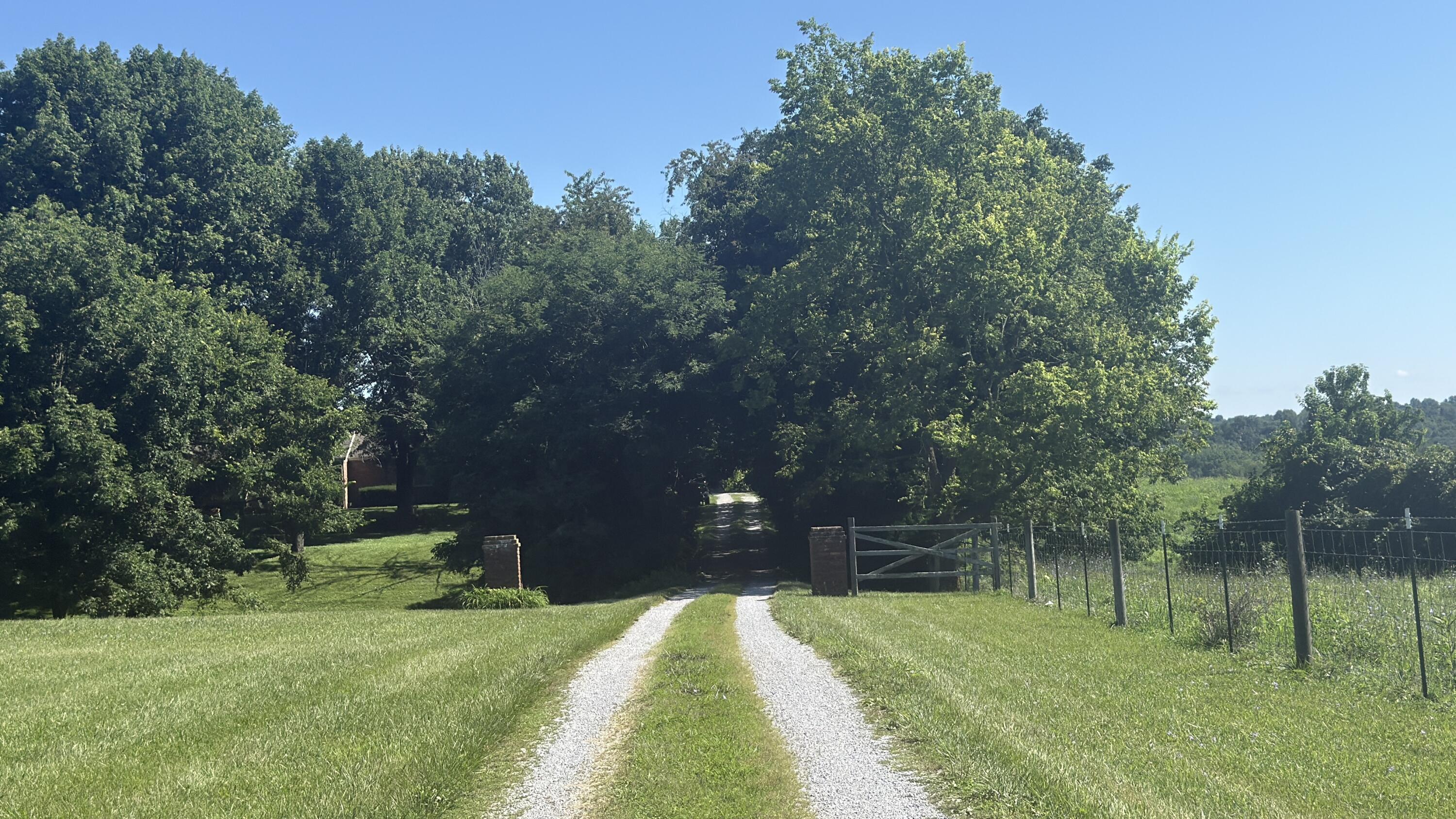 297 White Station Road Property Photo 55
