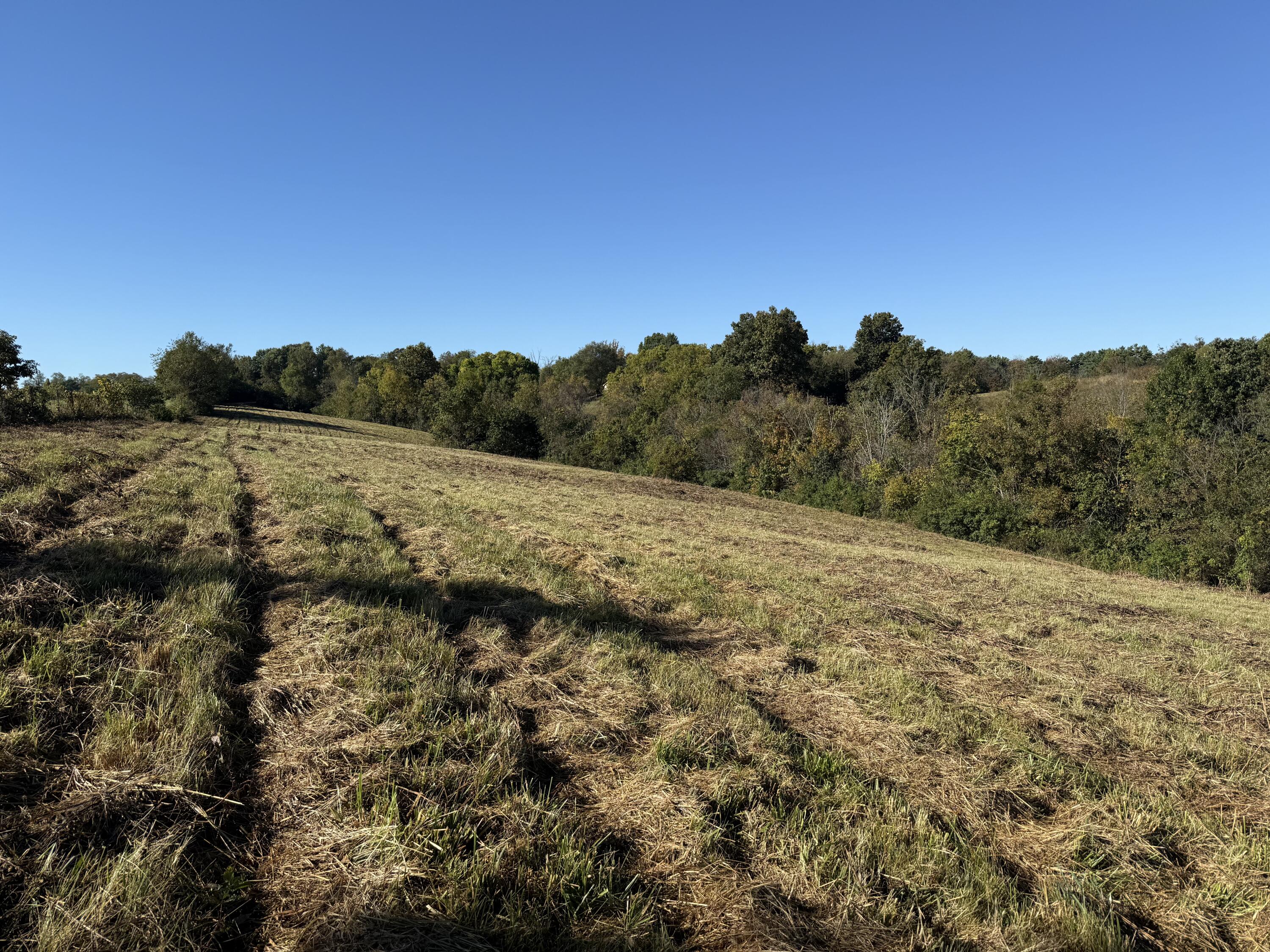 297 White Station Road Property Photo 67