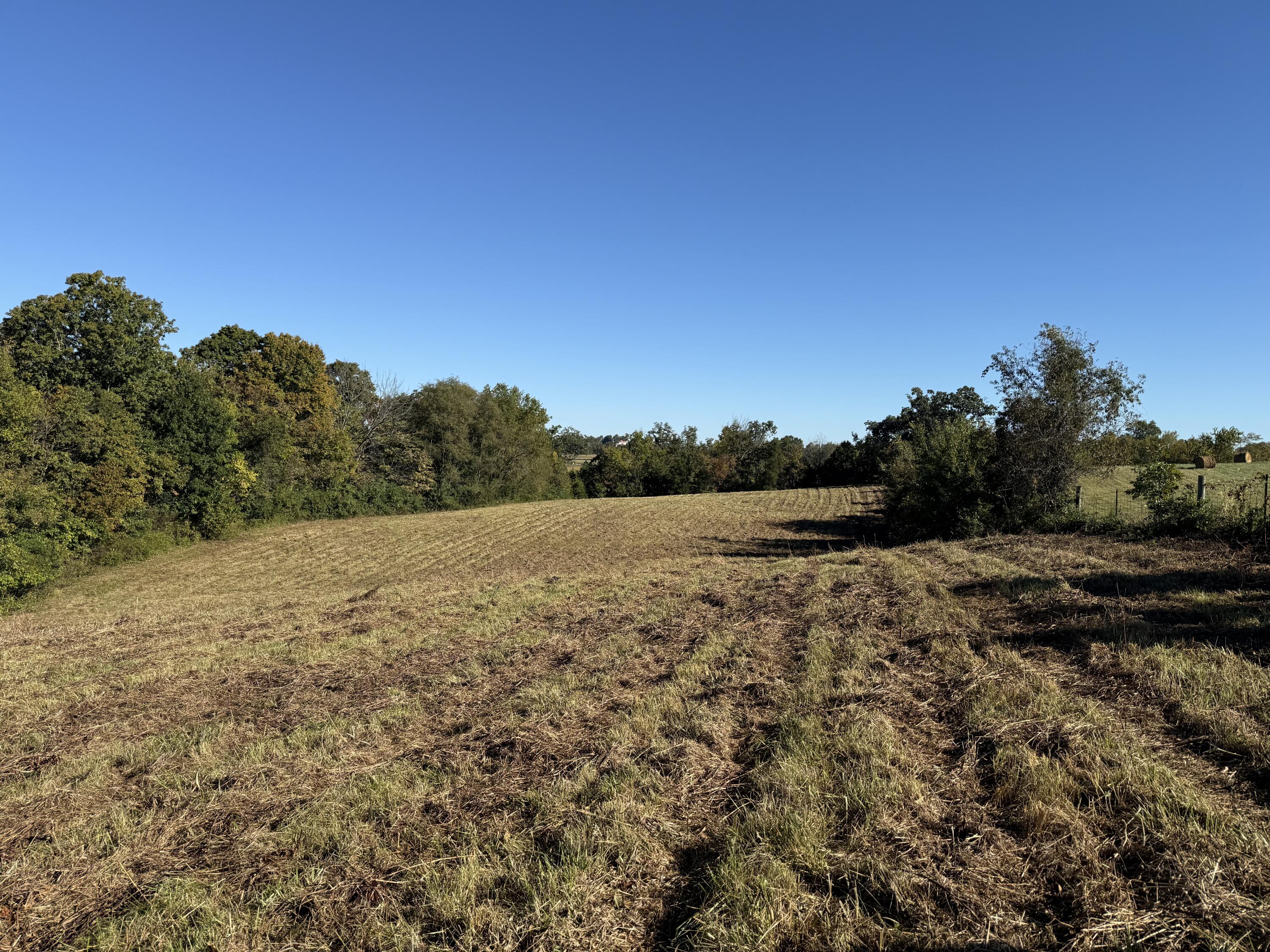 297 White Station Road Property Photo 70