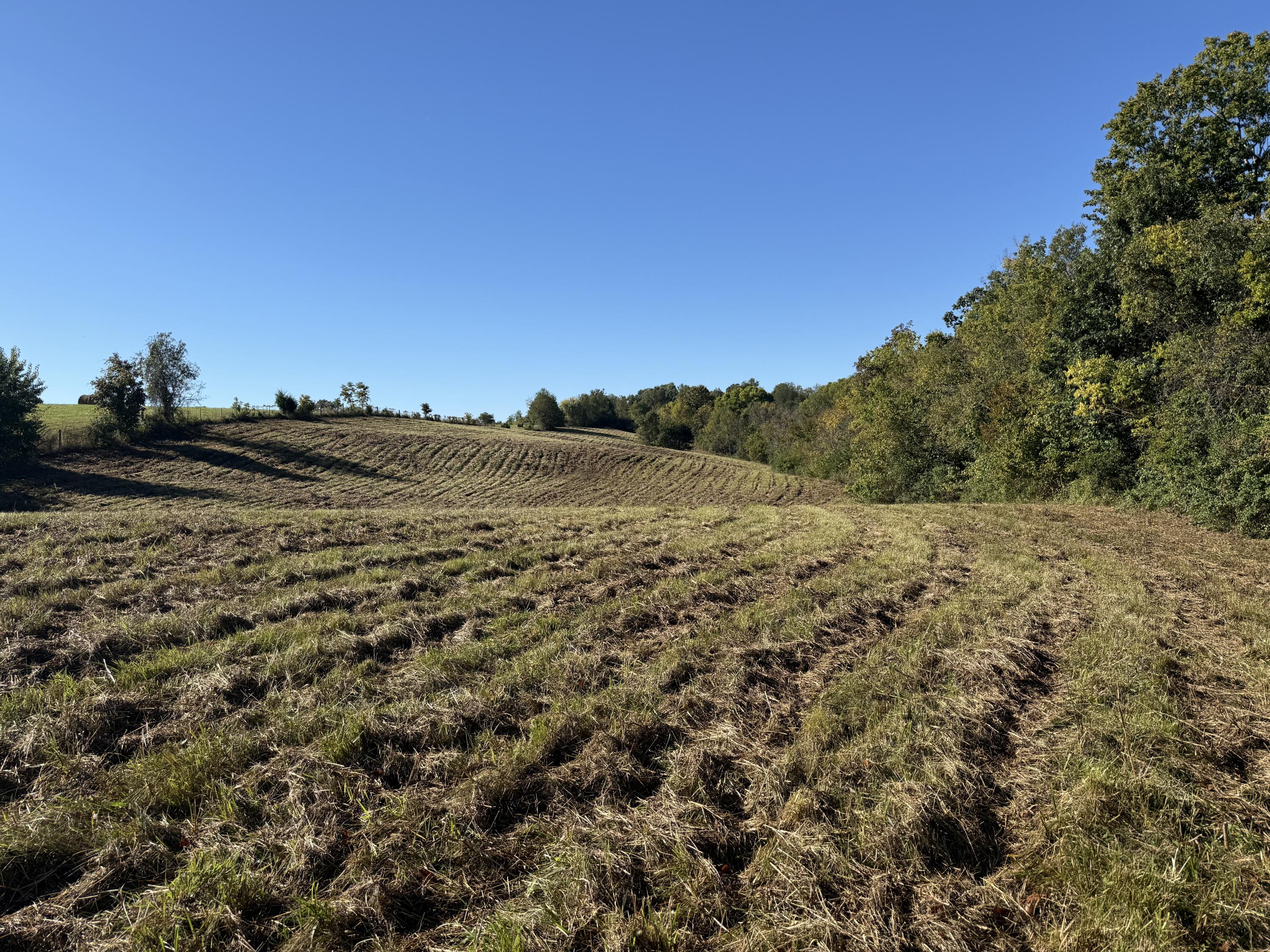 297 White Station Road Property Photo 70