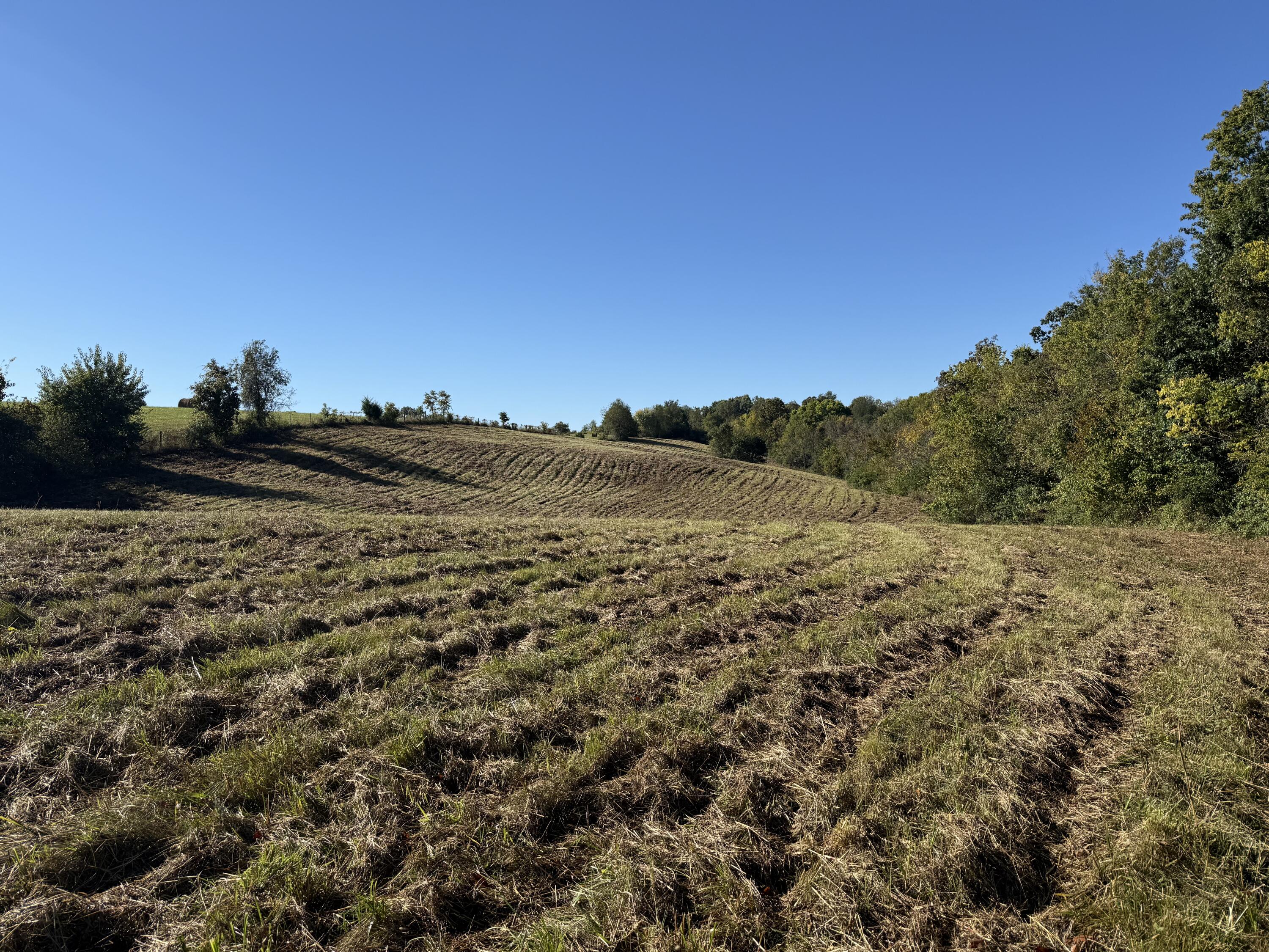 297 White Station Road Property Photo 71