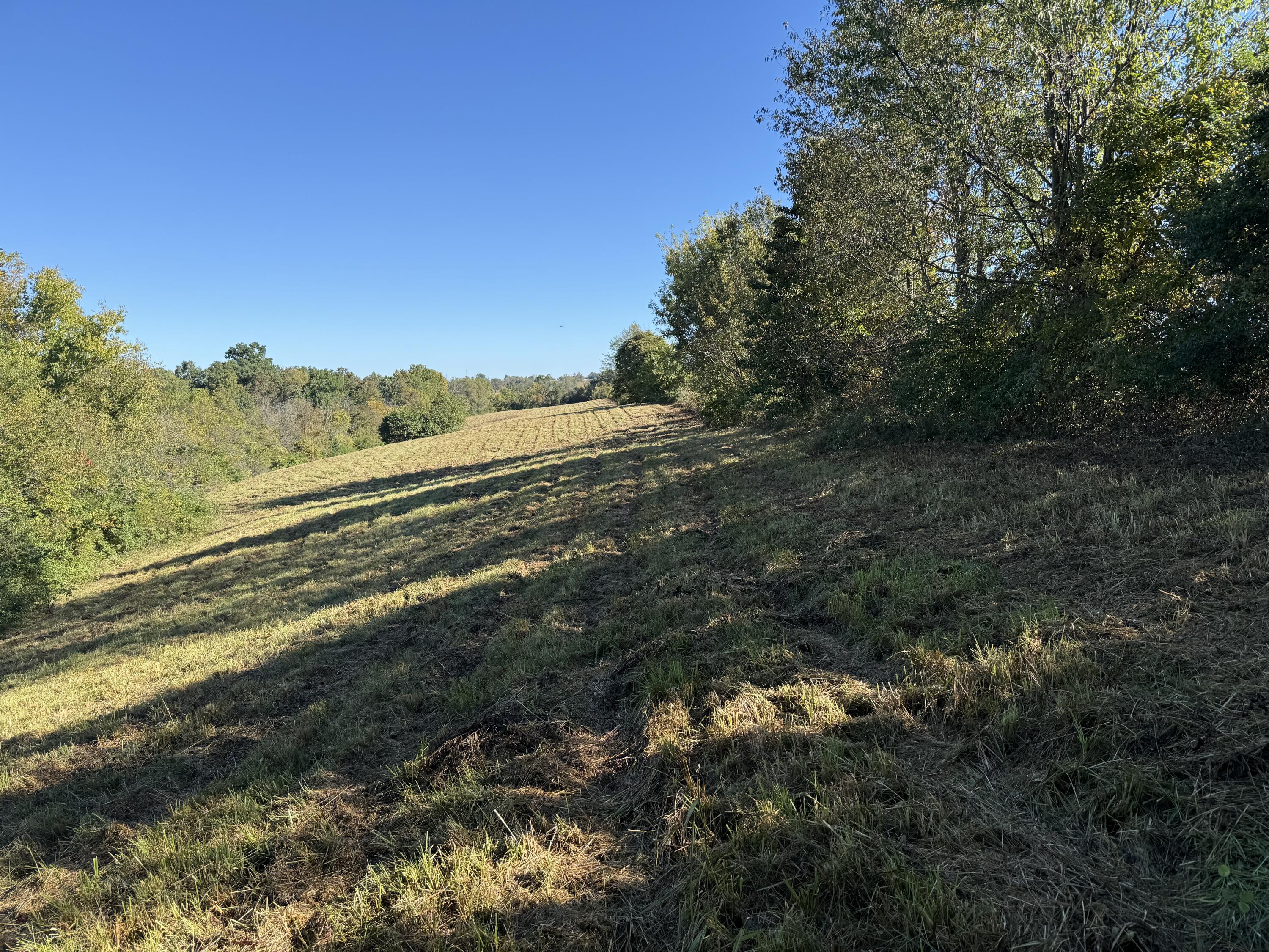 297 White Station Road Property Photo 72