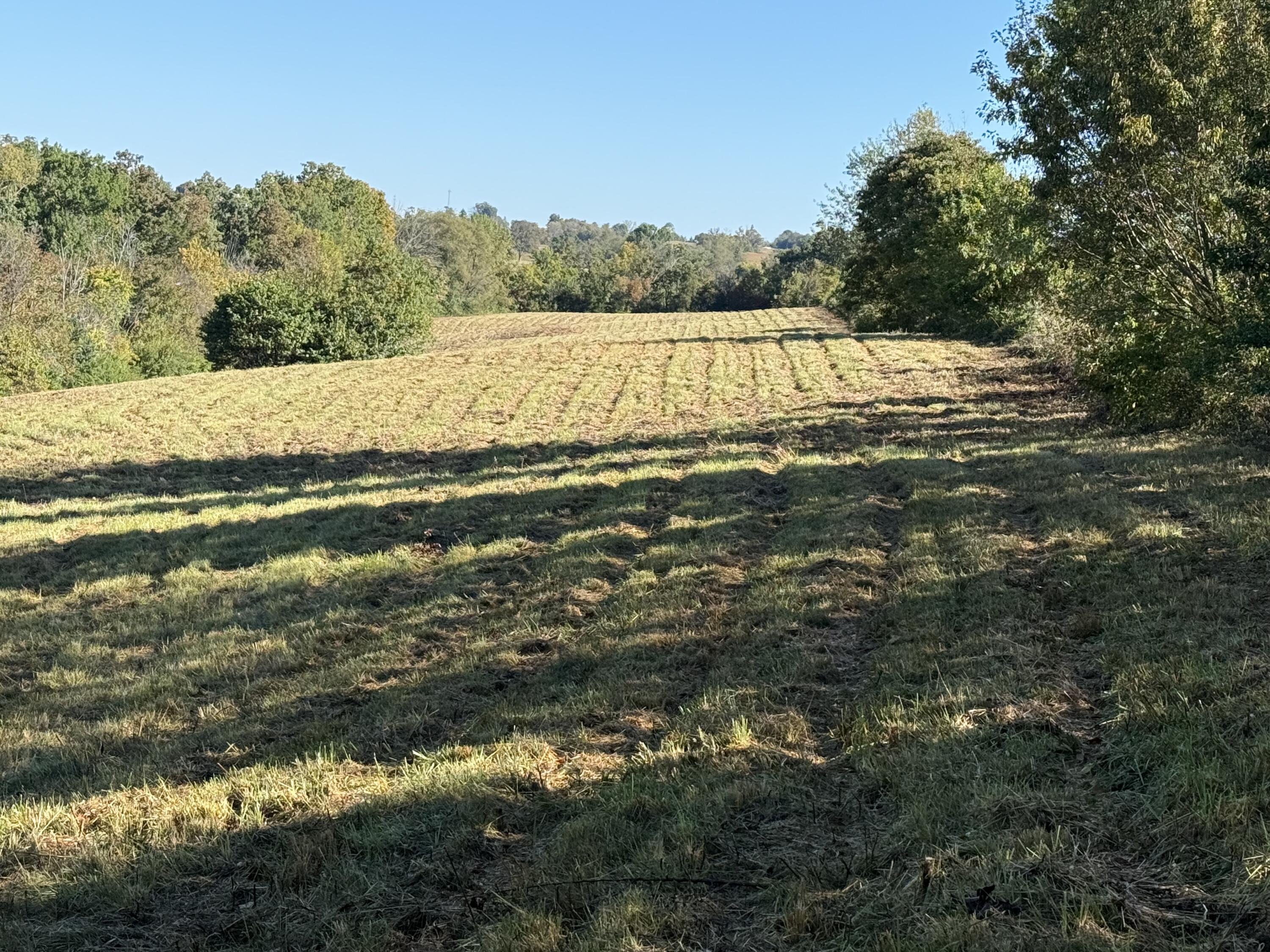 297 White Station Road Property Photo 73