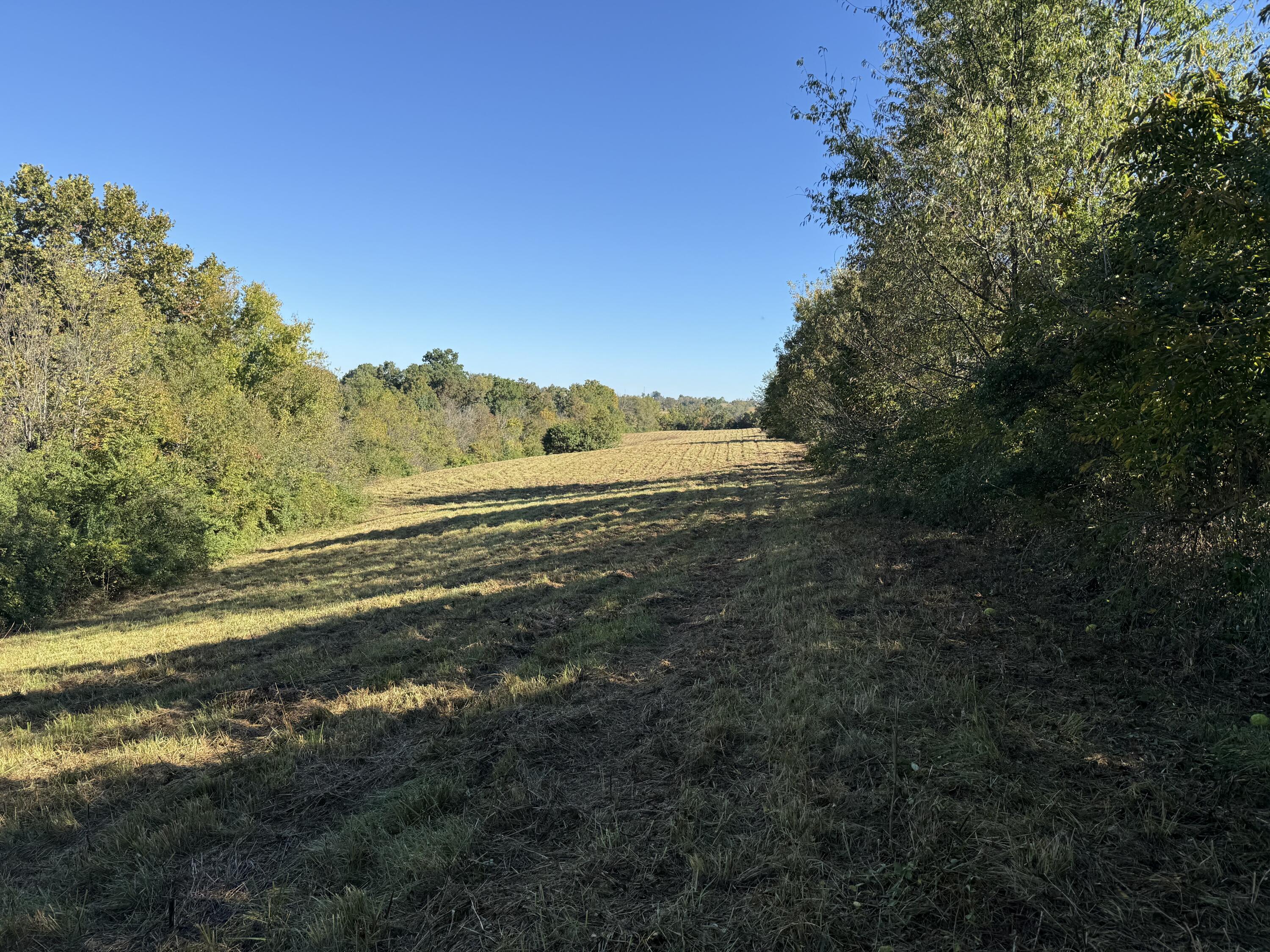 297 White Station Road Property Photo 75