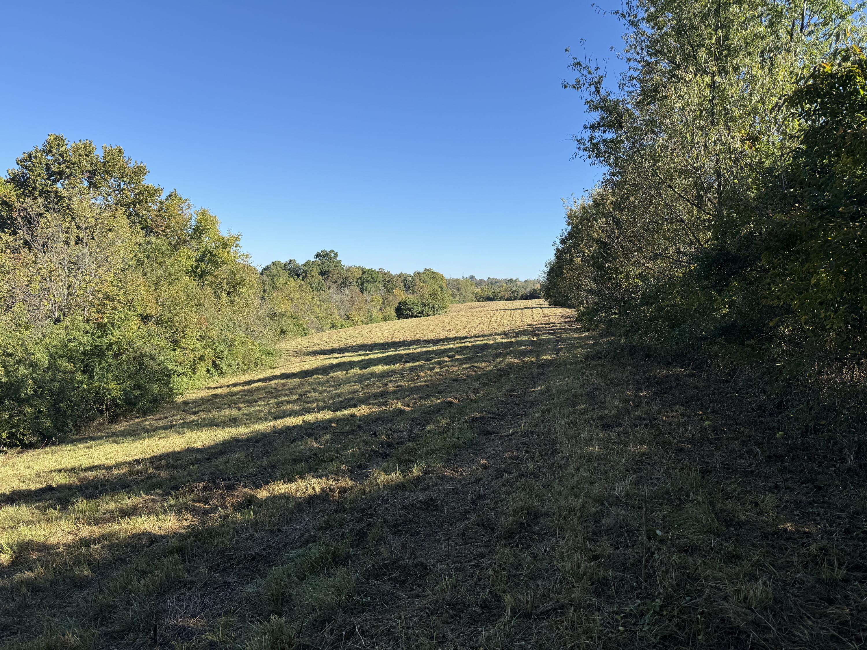 297 White Station Road Property Photo 76