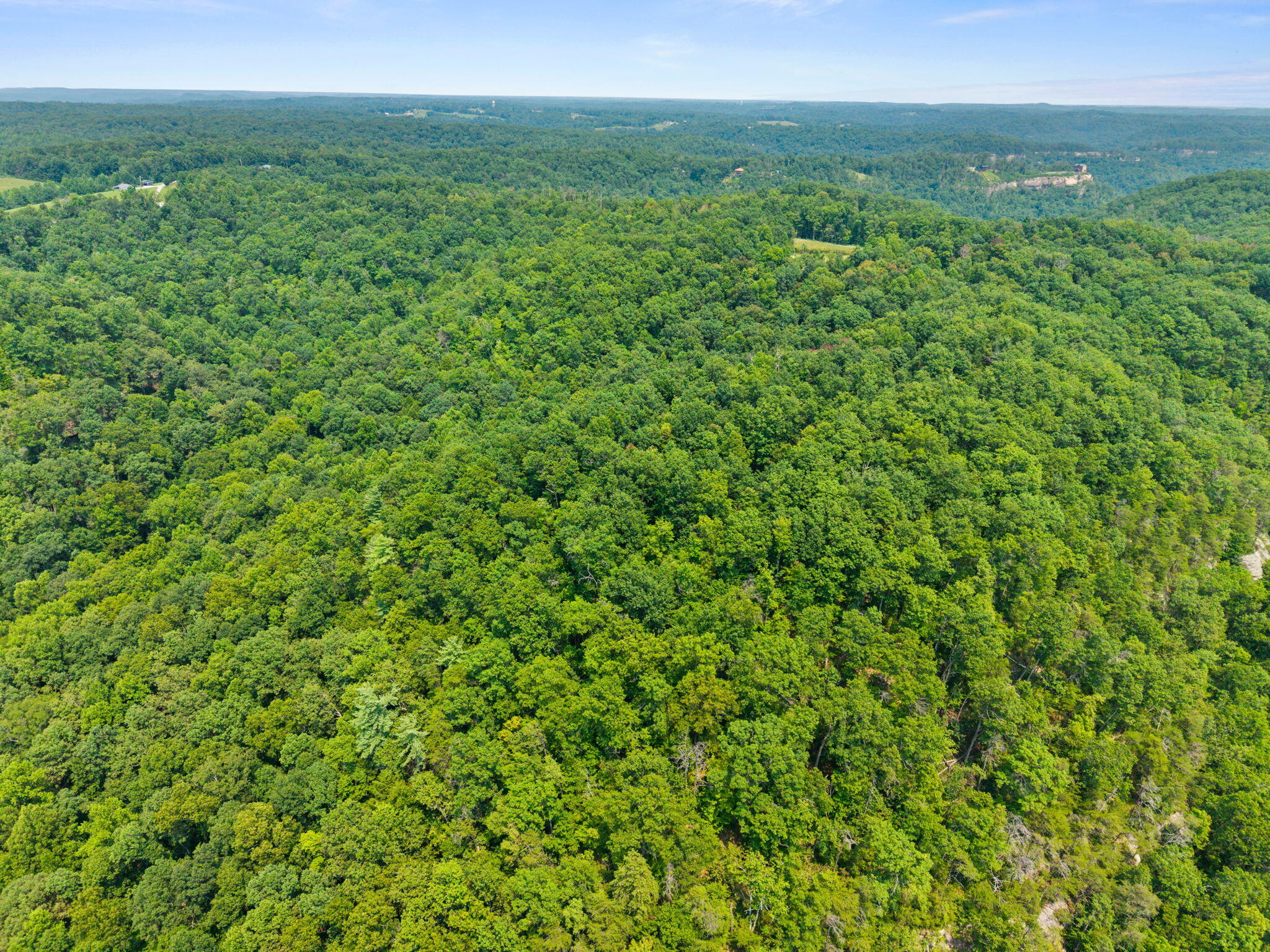Lot 81 Property Photo 2