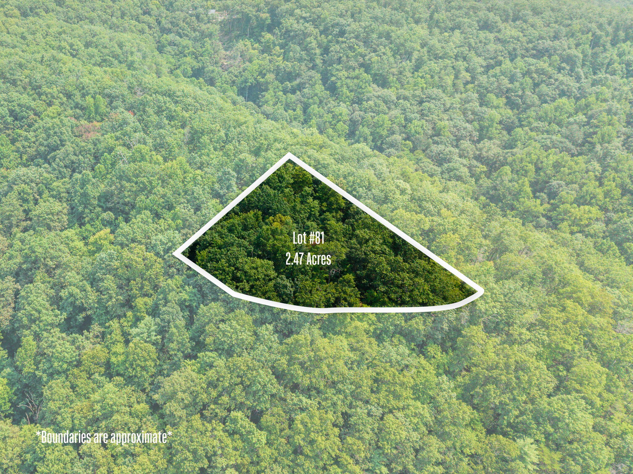Lot 81 Property Photo 5