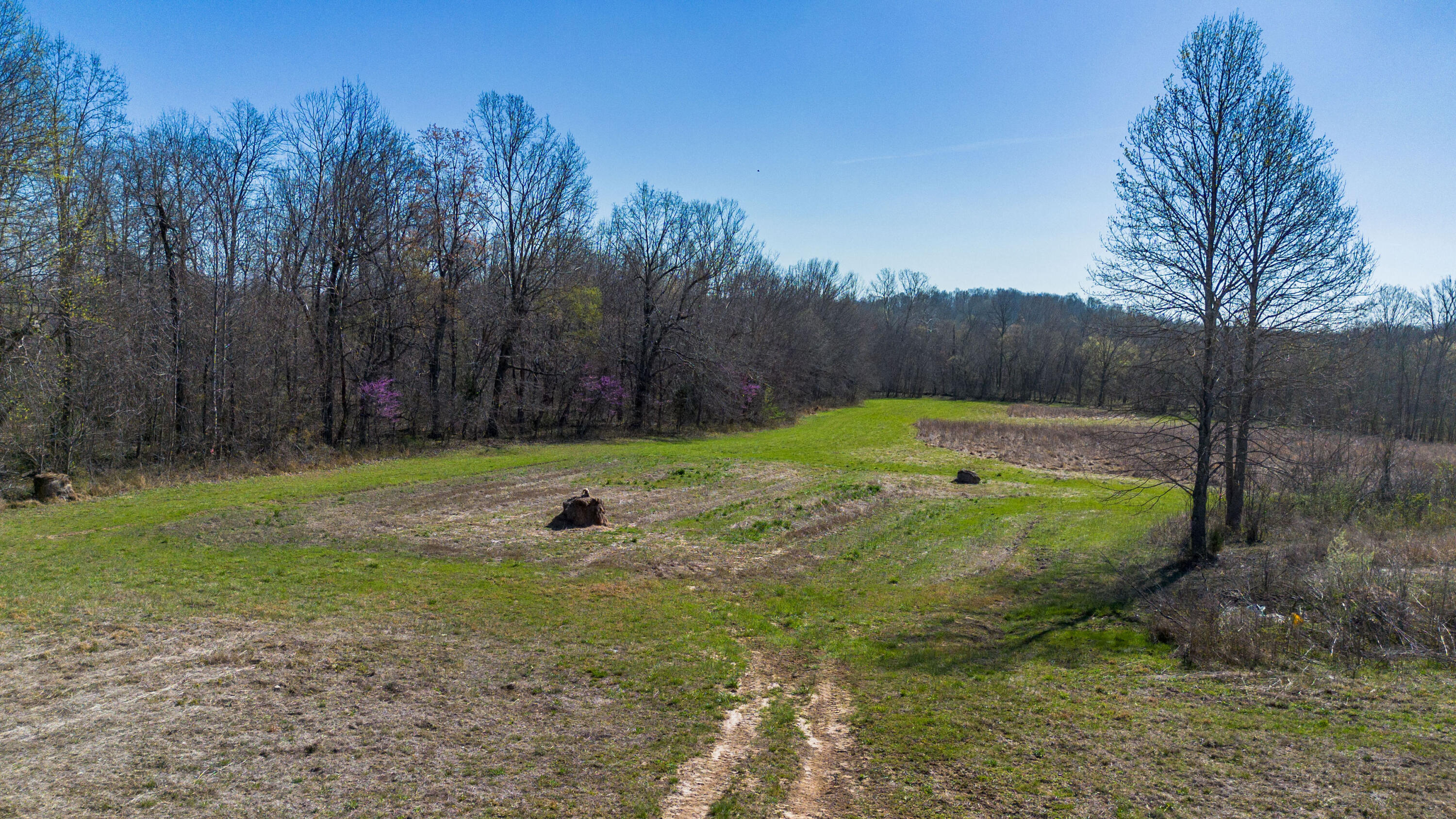 967 Sugar Creek Road Property Photo 25