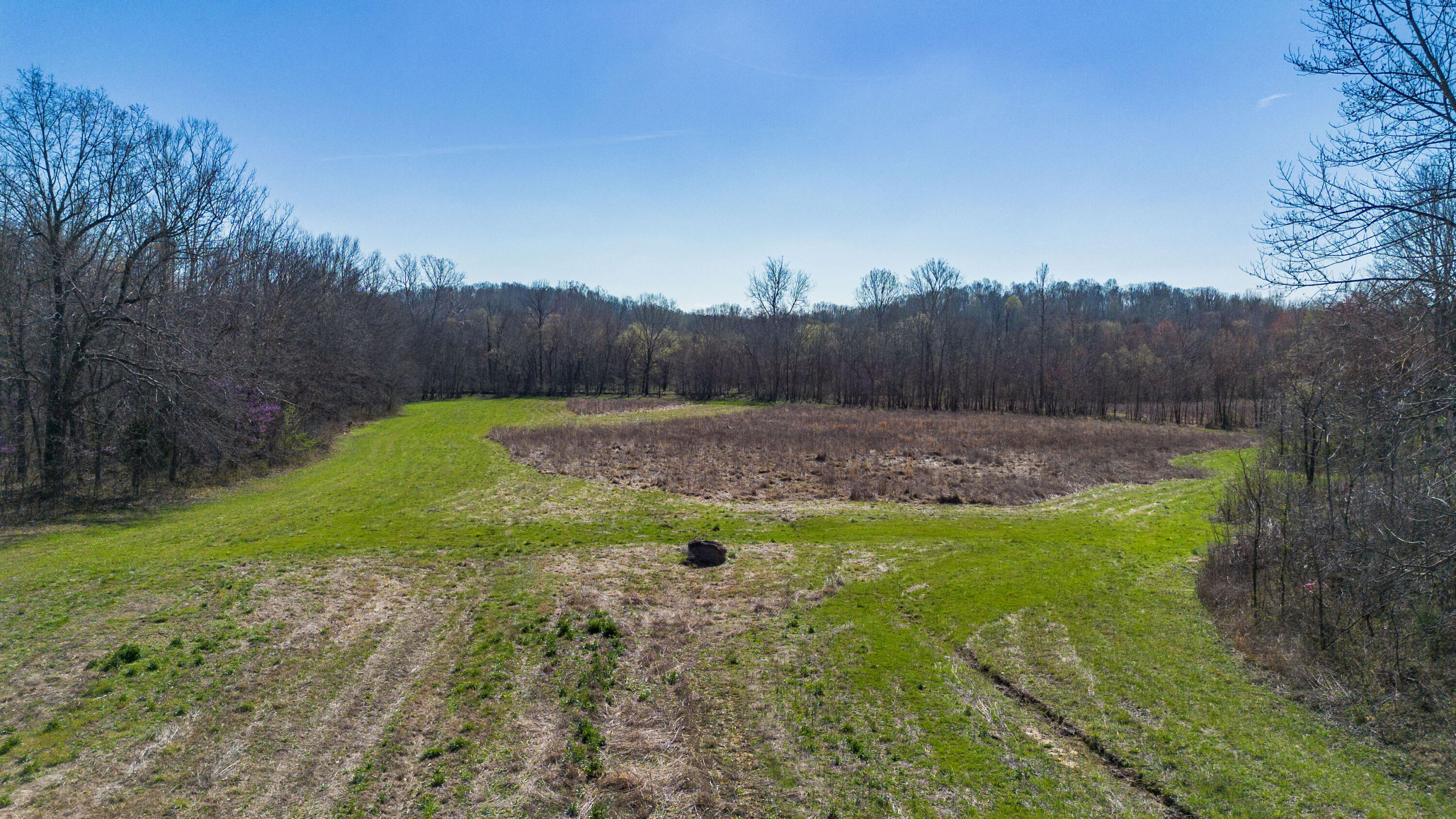 967 Sugar Creek Road Property Photo 26