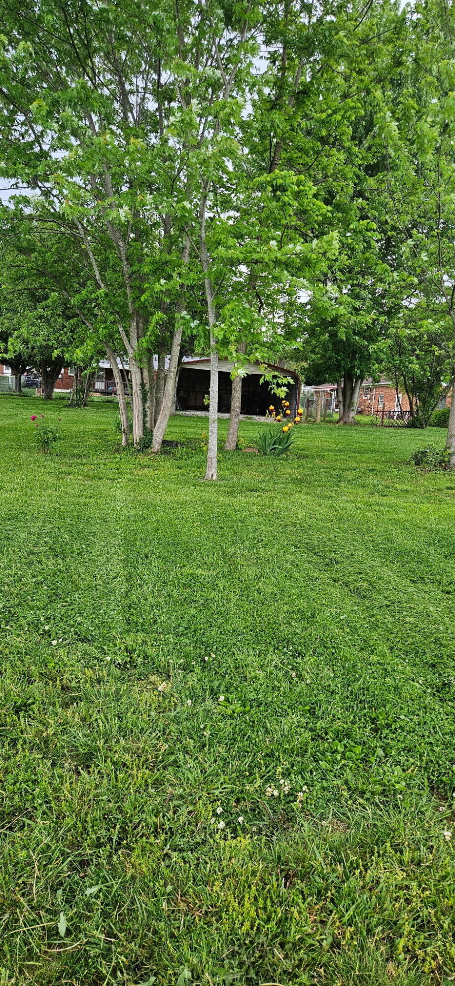 148 Leaf Lane Property Photo 37