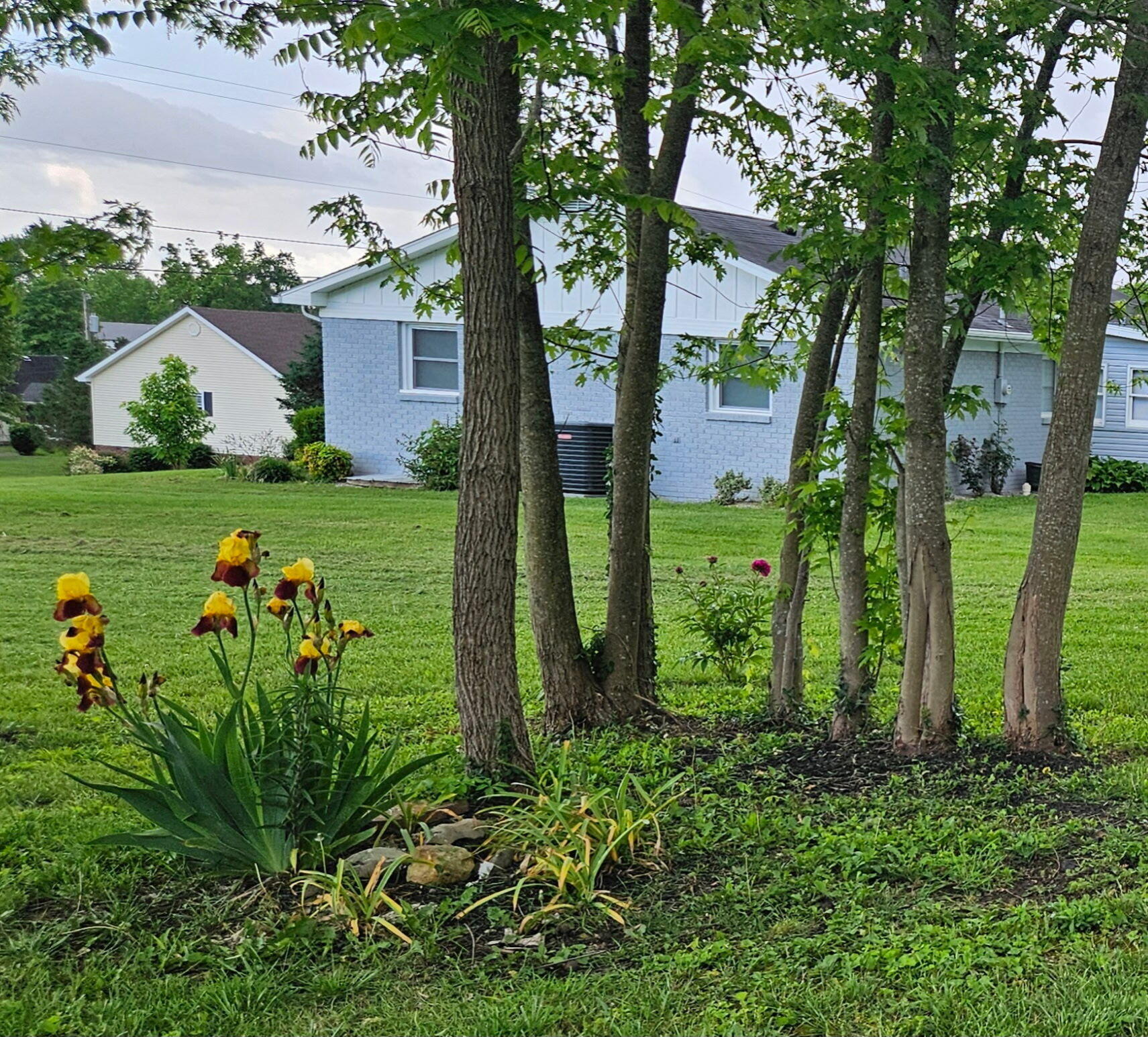 148 Leaf Lane Property Photo 38