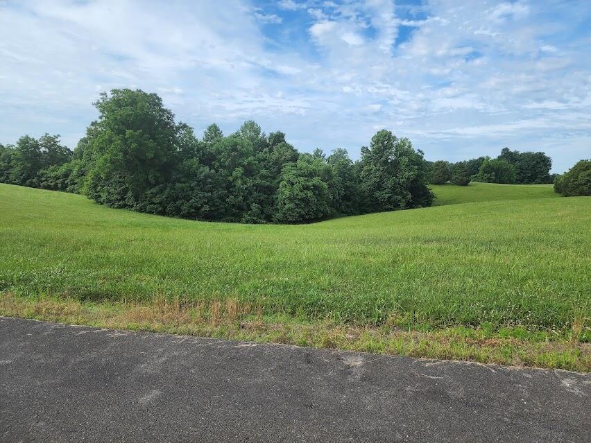 Lots 18 & 19 Acadia Drive Property Photo 2