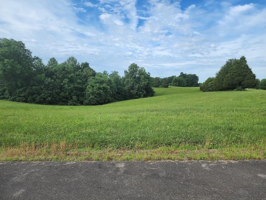 Lots 18 & 19 Acadia Drive Property Photo 3