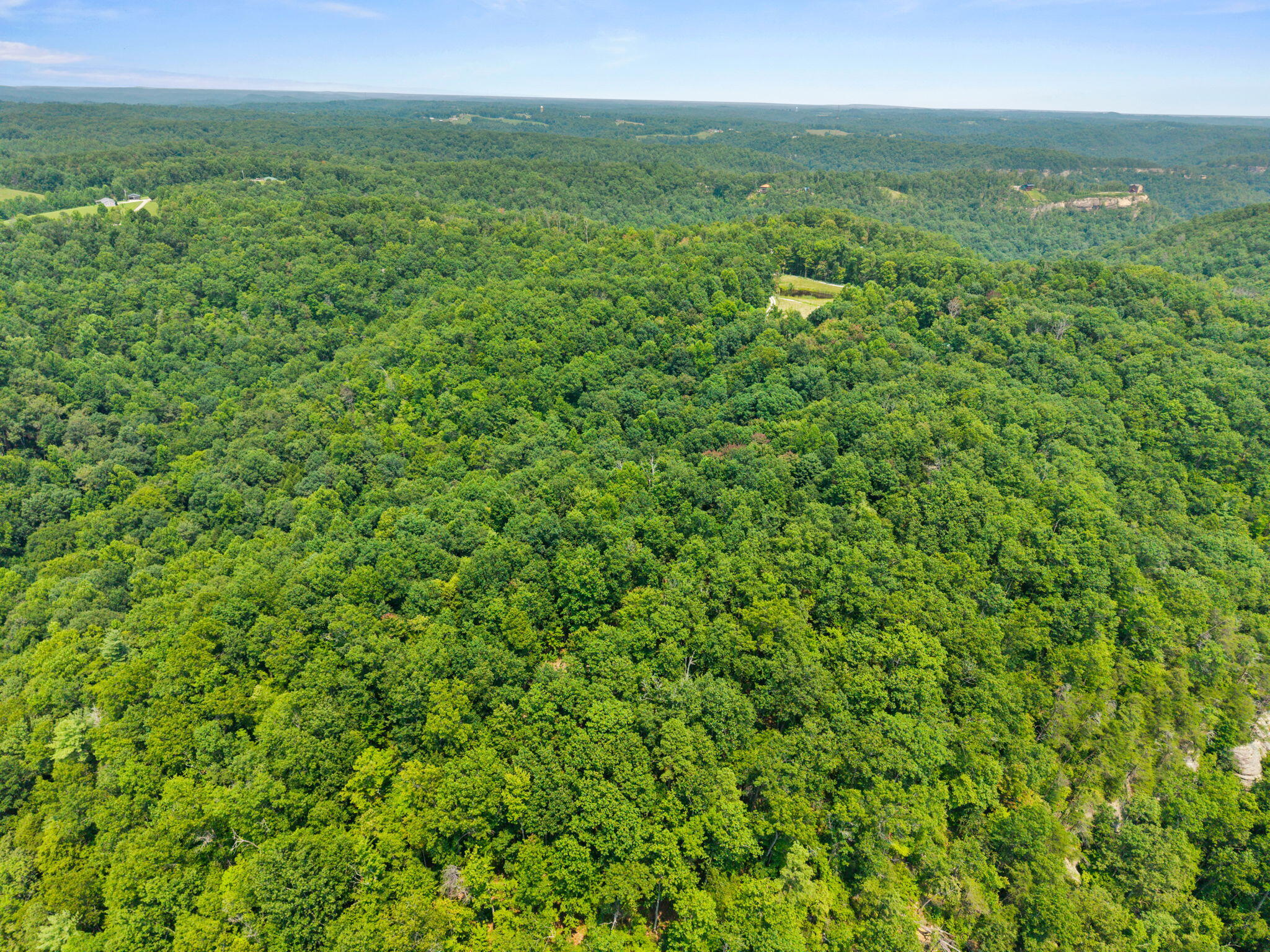 Lot 82 Property Photo 3