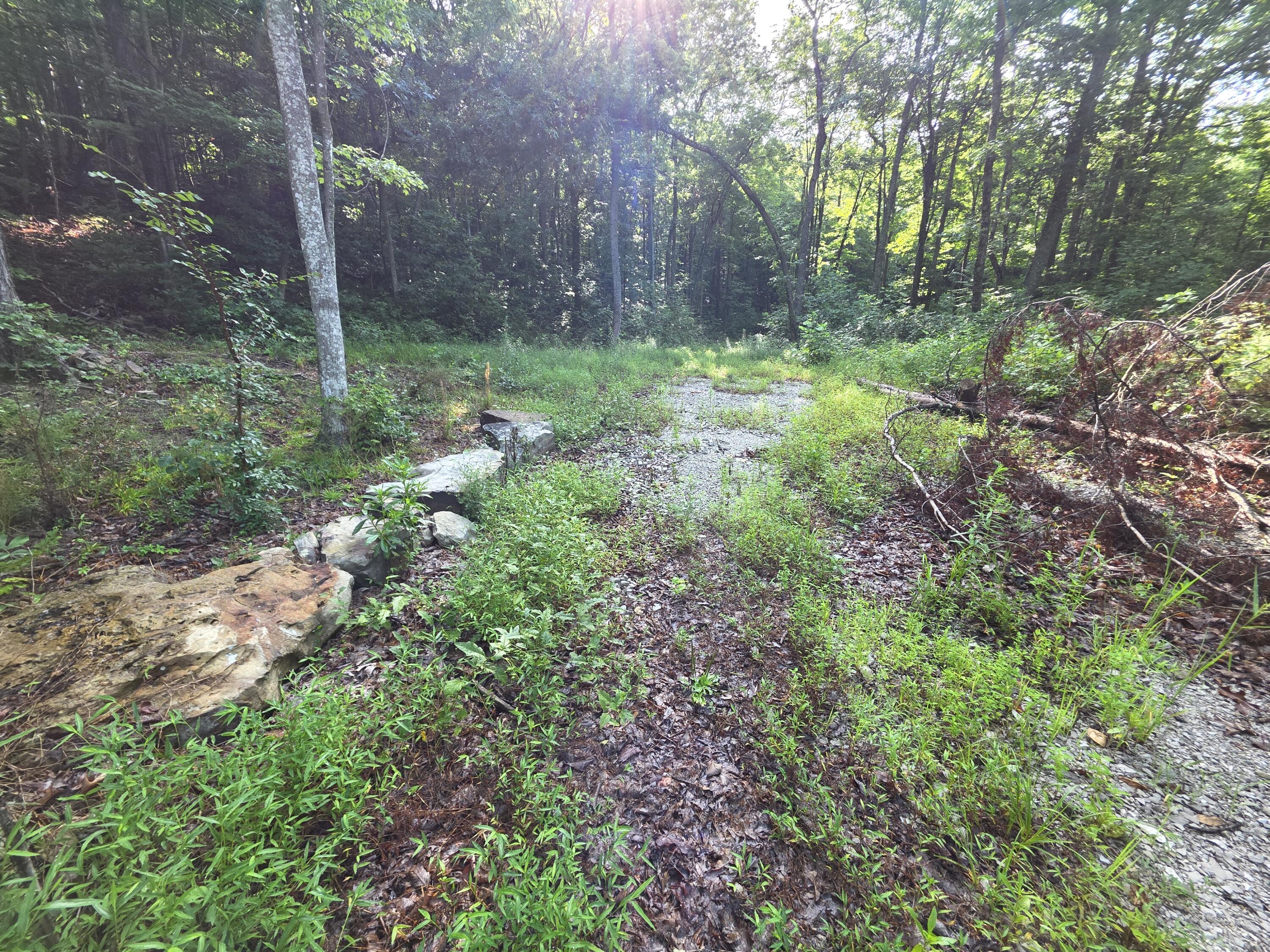 2453 Ky-1258 Property Photo 5